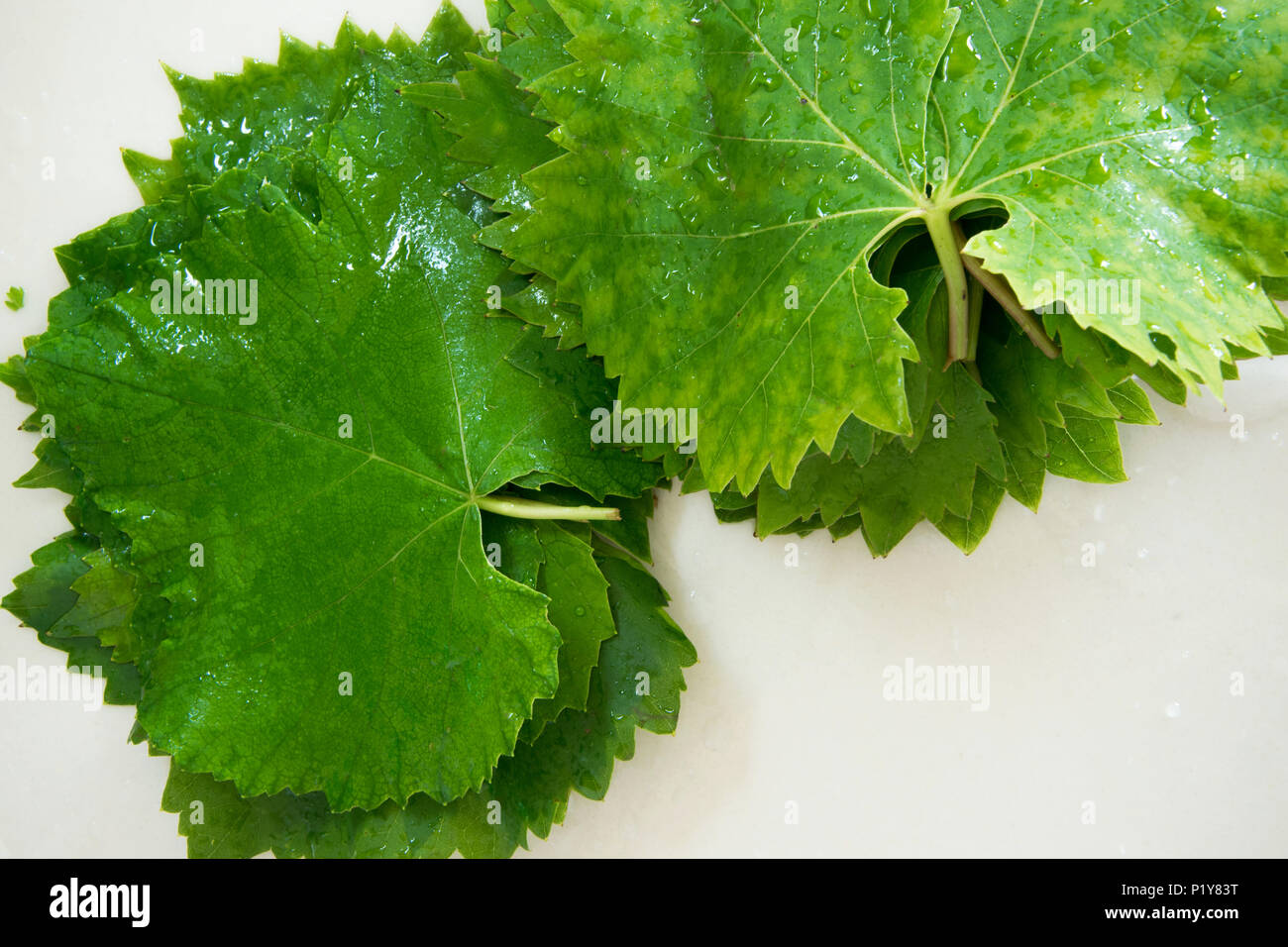 Crudo fresco di foglie di uva su sfondo bianco, spazio per il testo o il menu Foto Stock