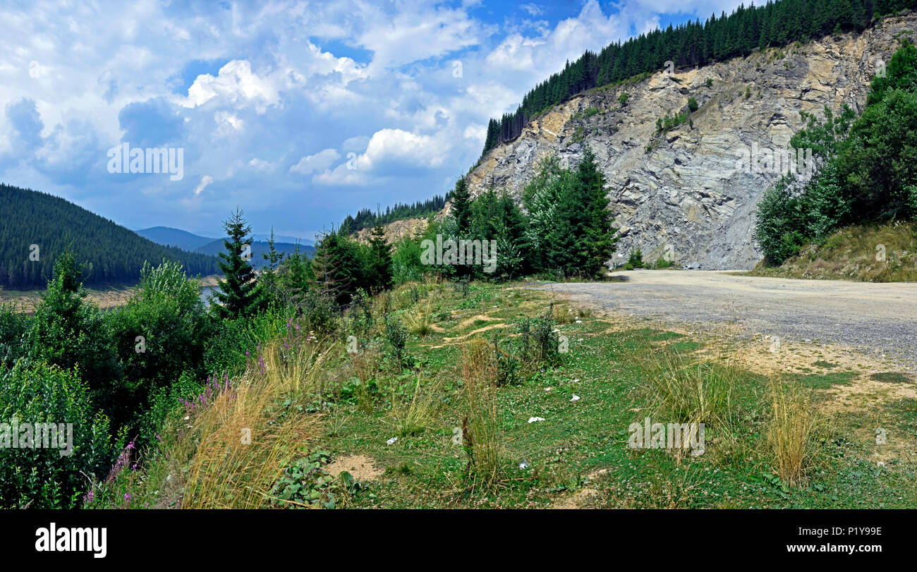 Paesaggio panoramico nei Carpazi Meridionali, in corrispondenza della estremità superiore del lago Oașa, lungo la strada di Transalpina, Romania Foto Stock