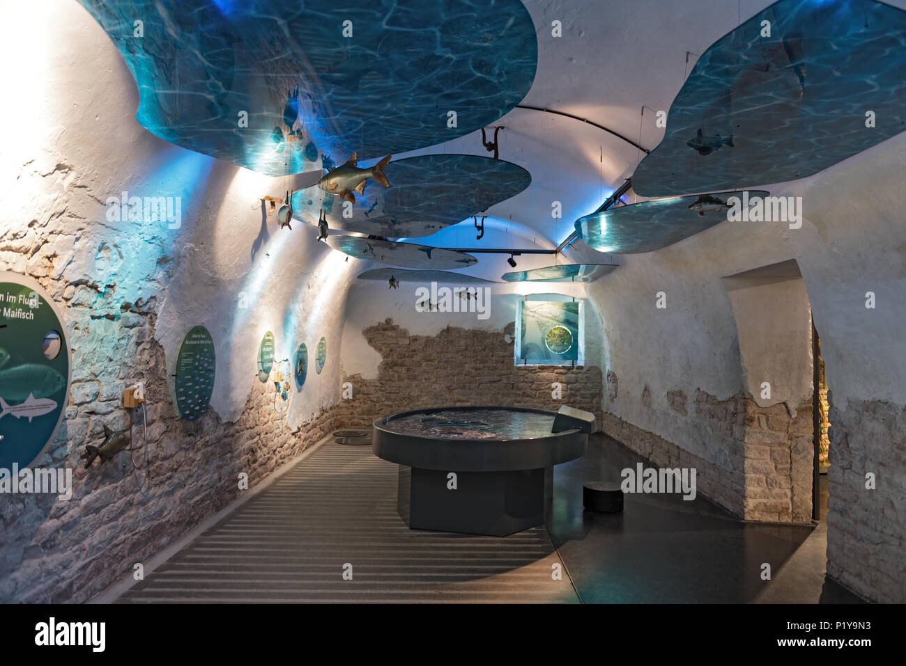 Hofgut guntershausen, museo e centro di educazione ambientale della riserva naturale e Europeservat kuehkopf- knoblochsaue, Hesse, Germania Foto Stock