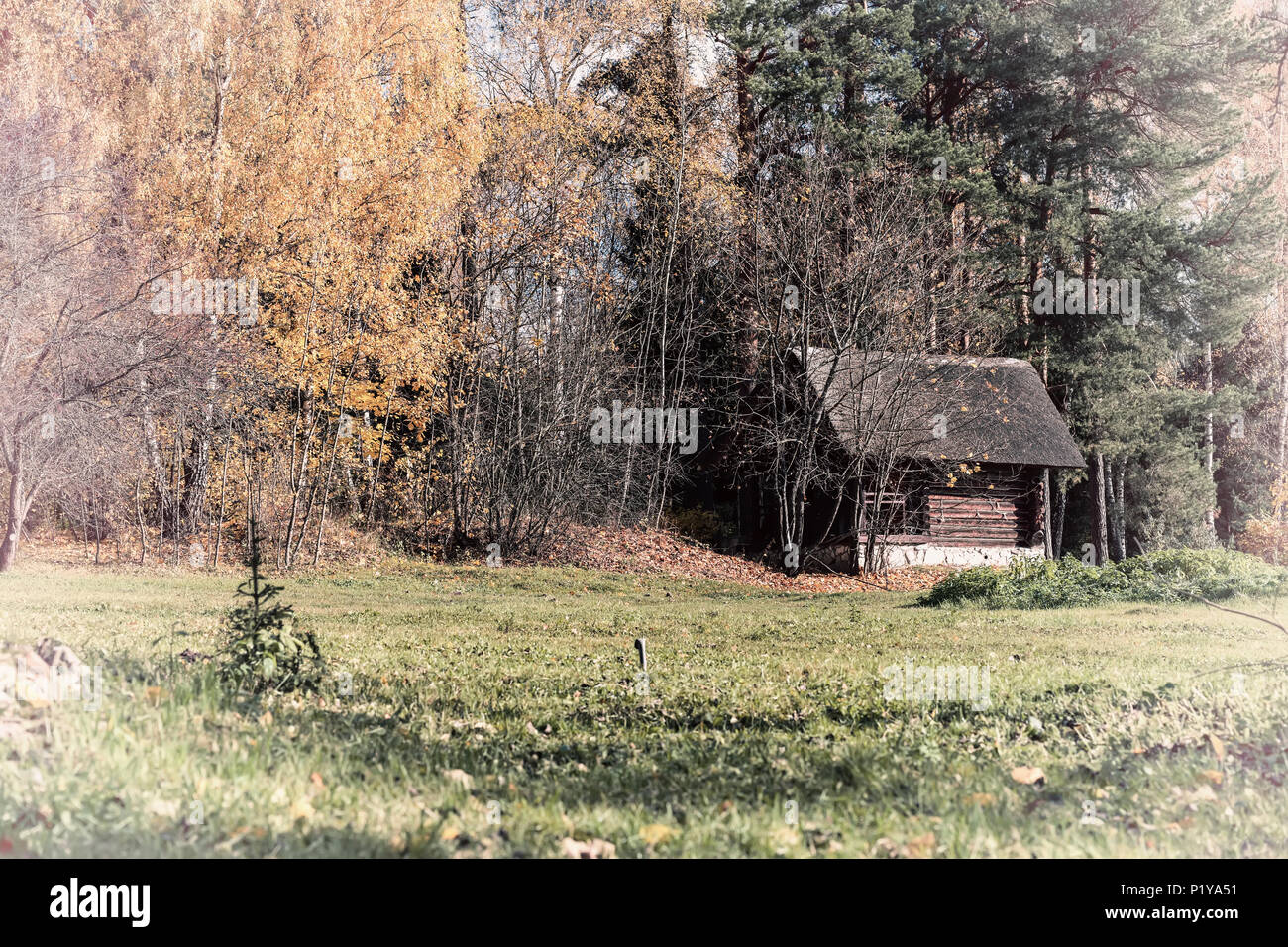 In legno antico vintage capannone rurale, paese cantiere ai margini della foresta di pittoresca foresta in autunno. La vita solitaria, stagioni Foto Stock