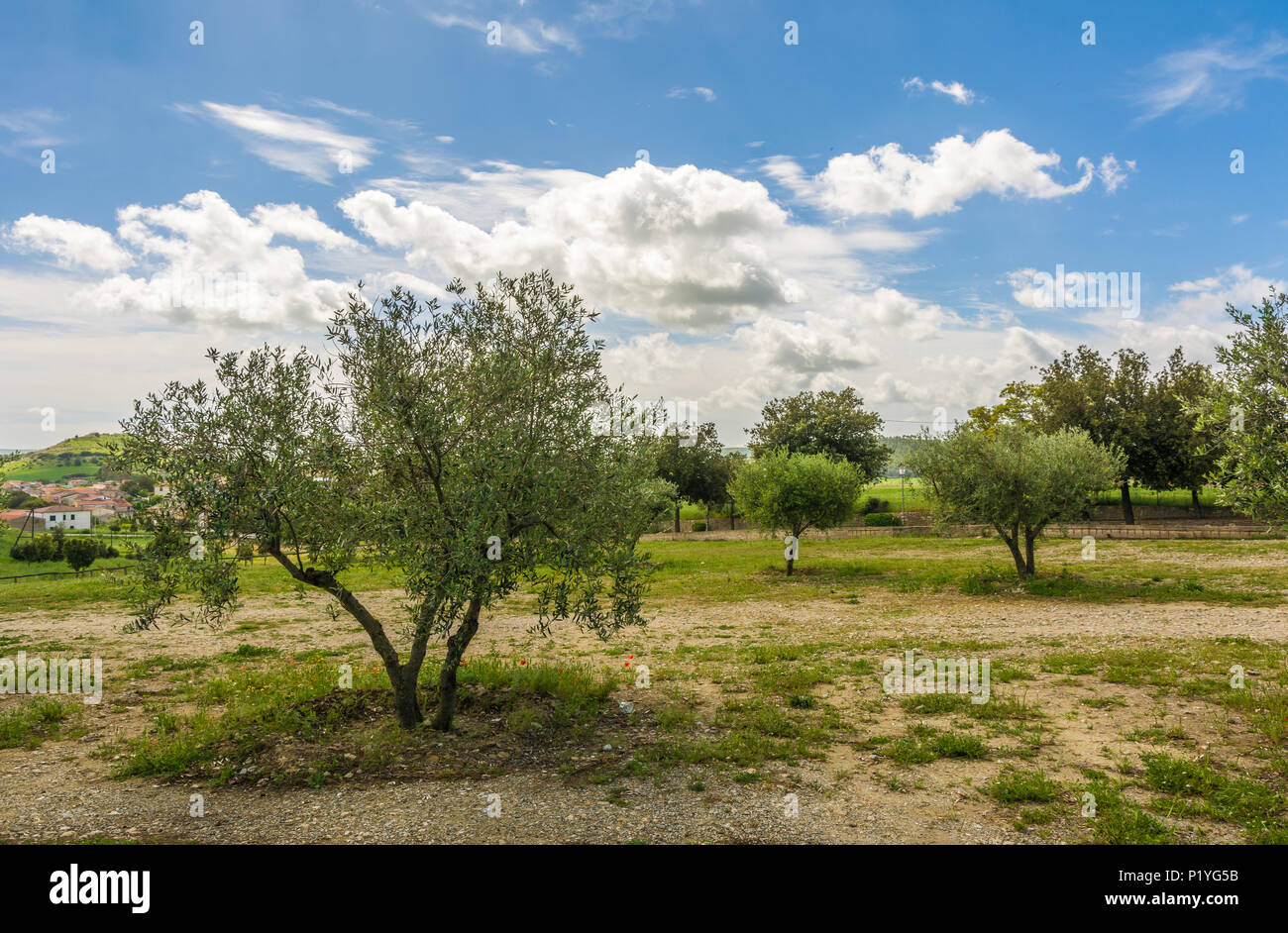 Vista della regione della Marmilla. La Marmilla è una regione naturale della zona centro-meridionale di Sardegna, Italia. Foto Stock