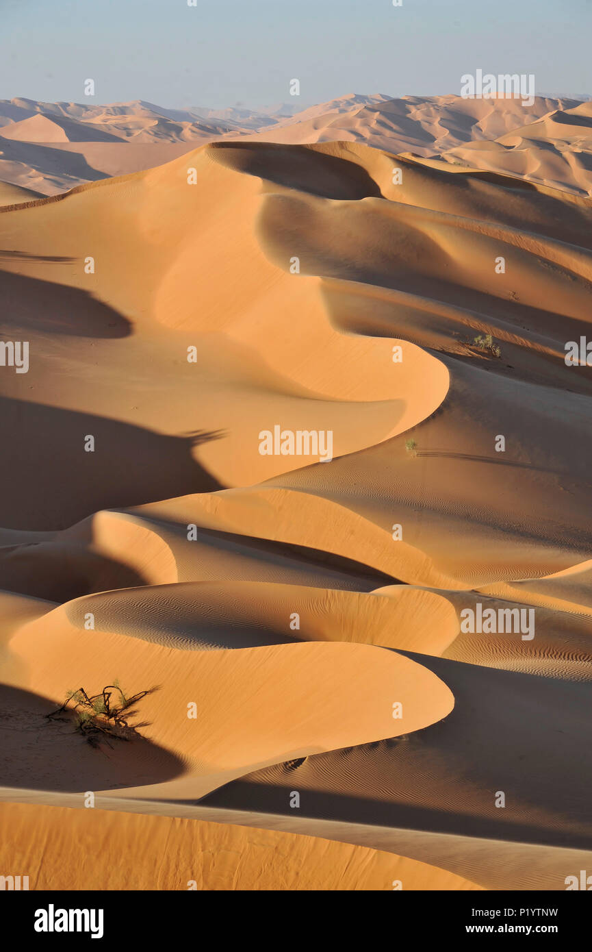 Il sultanato di Oman, Dhofar, Rub Al Khali desert, chiamato Empty Quarter, la più grande area di sabbia nel mondo confine dello Yemen e Saoudi Arabia, paesaggio di ocra di rotolamento dune di sabbia Foto Stock