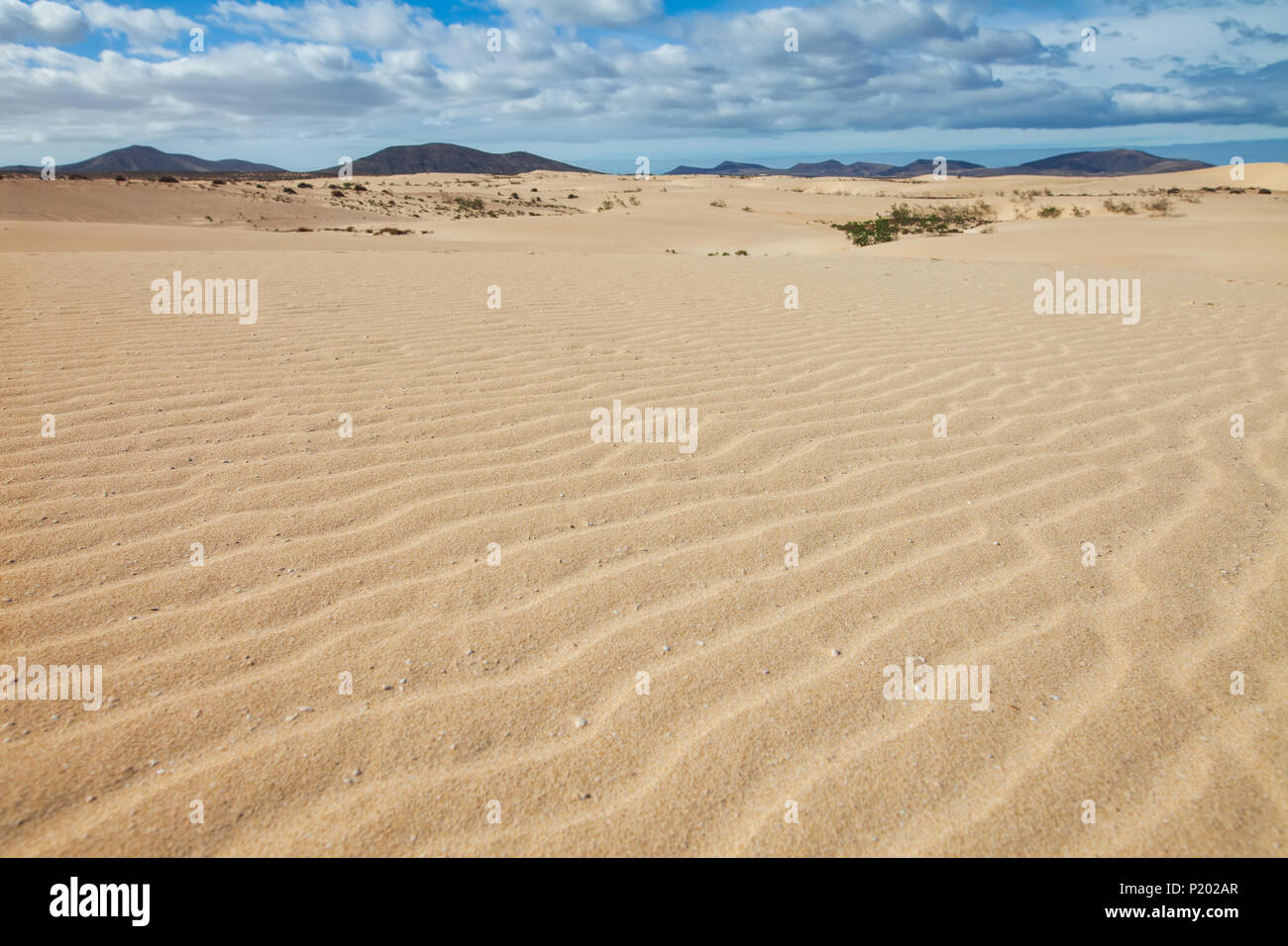 Deserto sullo sfondo di un paesaggio. Dune di Corralejo con montagne vulcaniche all'orizzonte. Fuerteventura Isole Canarie Spagna. Foto Stock