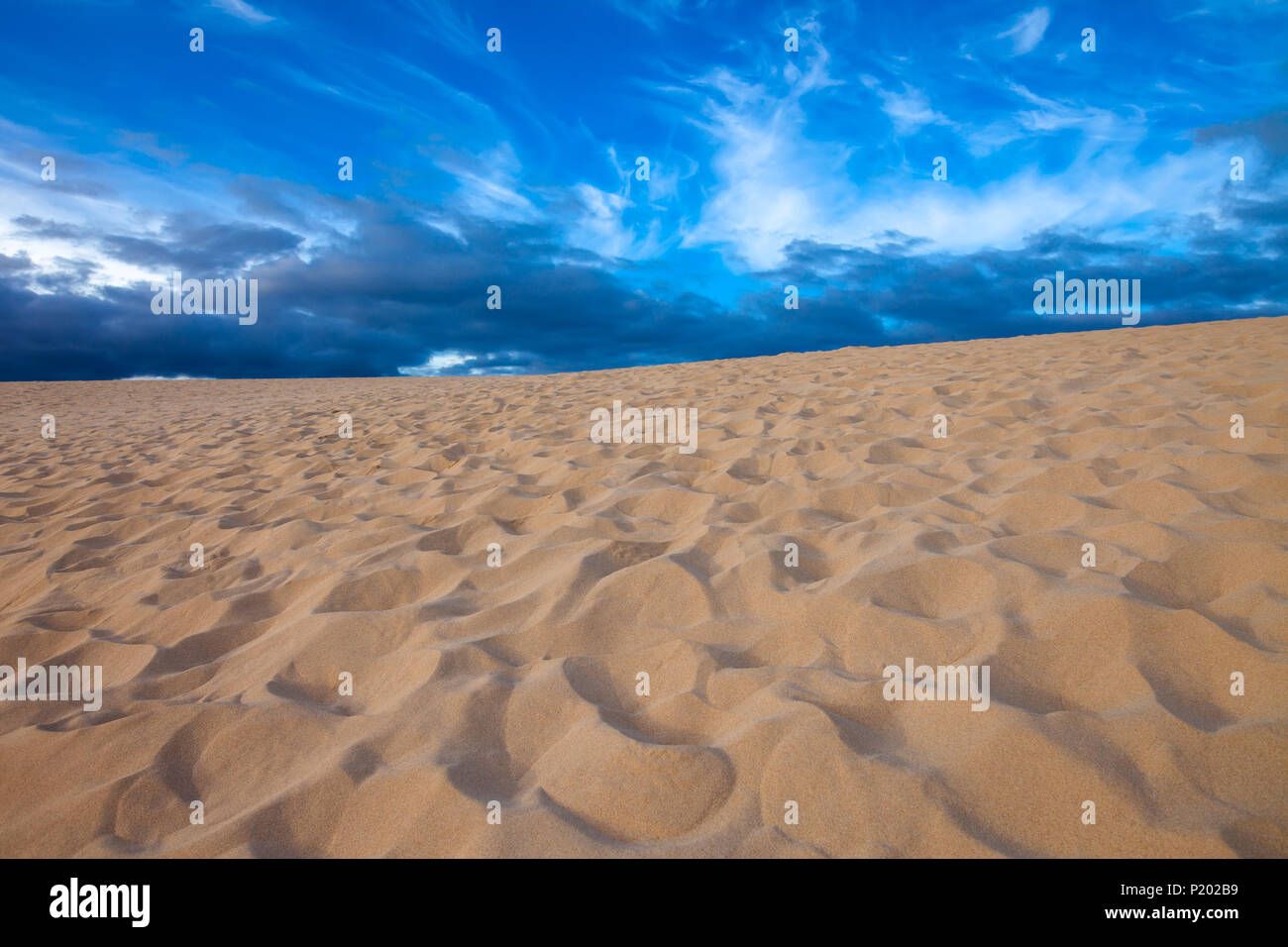 Deserto sullo sfondo di un paesaggio. Dune di Corralejo Fuerteventura, Isole canarie, Spagna. Foto Stock