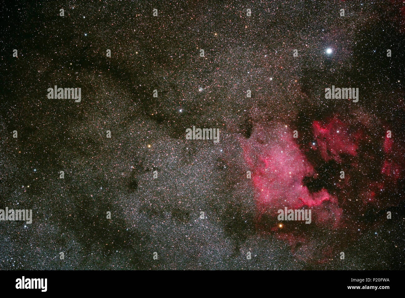 Il Massiccio Centrale. Cantal. Trizac Plateau. Il cuore della costellazione del Cigno e America del nord Nebula (NGC 7000) e Pelican, conservati sotto un cielo inquinamento luminoso. Foto Stock