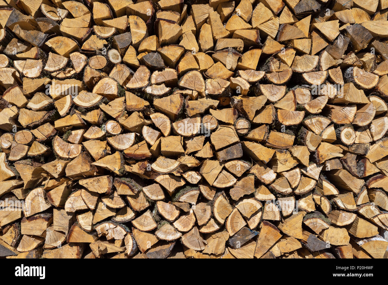 Palo di legno con molti piccoli pezzi di legno Foto Stock