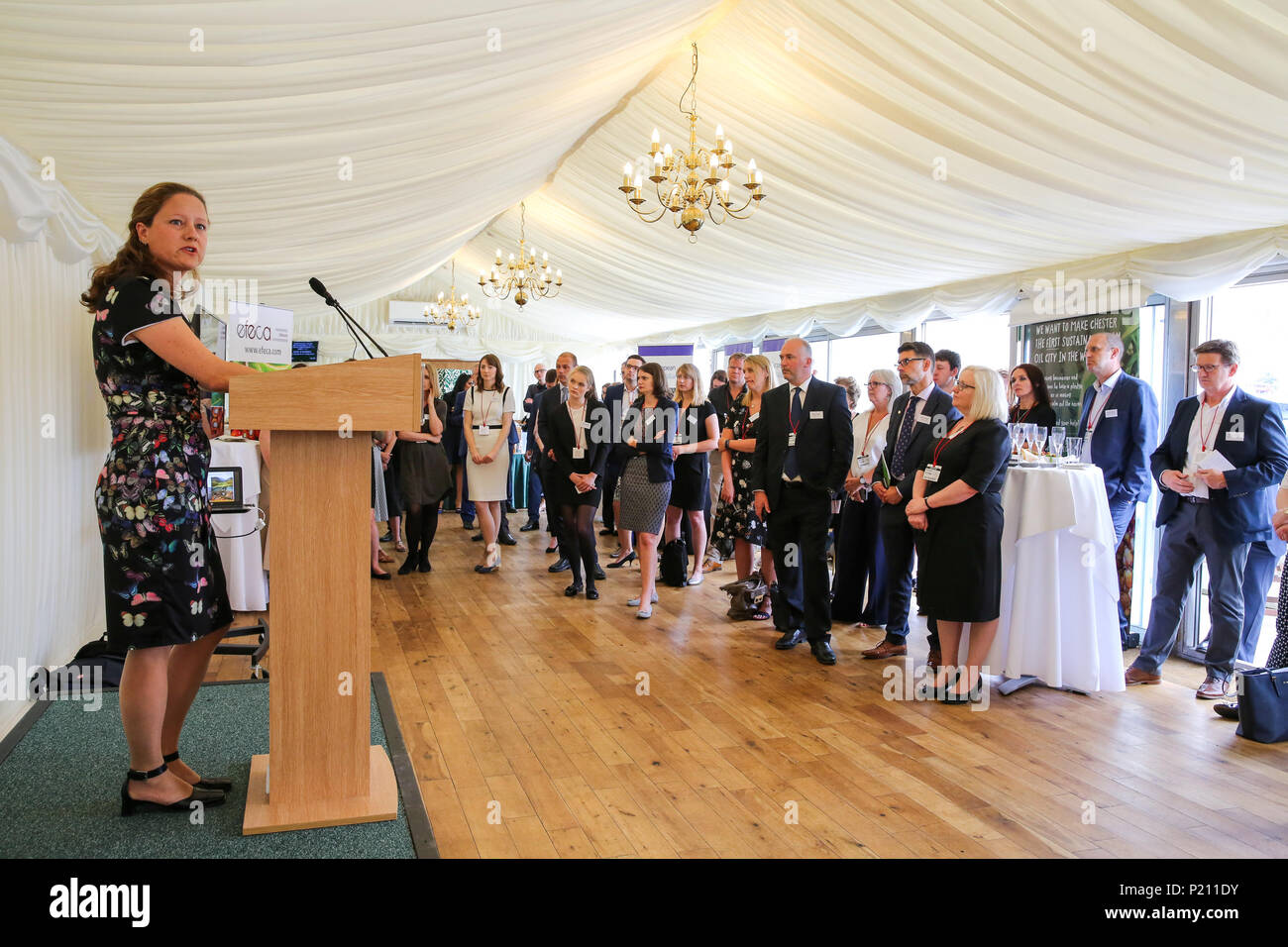 Palazzo di Westminster. Londra. Regno Unito 13 Giugno 2018 - Inke van der Sluijs di RSOP parlando all'evento. Chris Matheson MP per la città di Chester ospita una reception il pranzo a nome di Chester Zoo e Efeca BIAZA nel Palazzo di Westminster che riunisca industria britannica per aiutare il Regno Unito verso palm sostenibile per l'utilizzo dell'olio. La tavola rotonda del regno unito sulle fonti di approvvigionamento sostenibile di olio di palma, sostenuto dal governo, ha impegnato per la dichiarazione di Amsterdam per l'Europa a supporto di una totalmente sostenibile palm oil supply chain entro il 2020. Credito: Dinendra Haria/Alamy Live News Foto Stock