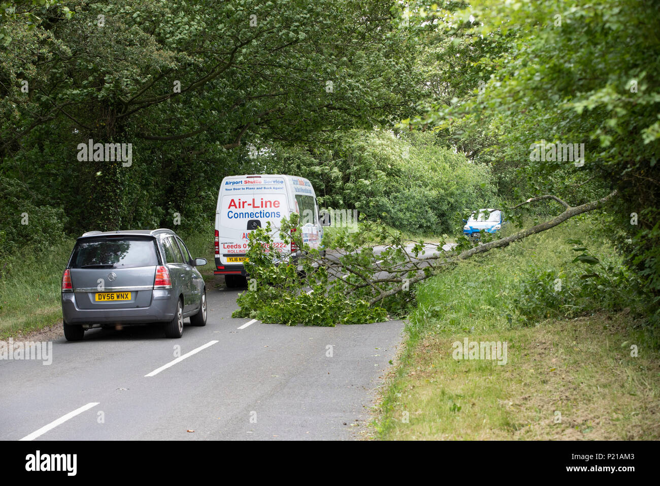 Leeds, Regno Unito - 14 giugno 2018. Leeds è stata martoriata con venti forti come questa mattina Storm Hector è passata attraverso lo Yorkshire. Il forte vento ha portato giù un albero attraverso re Lane in nord Leeds Credito: James Copeland/Alamy Live News Foto Stock