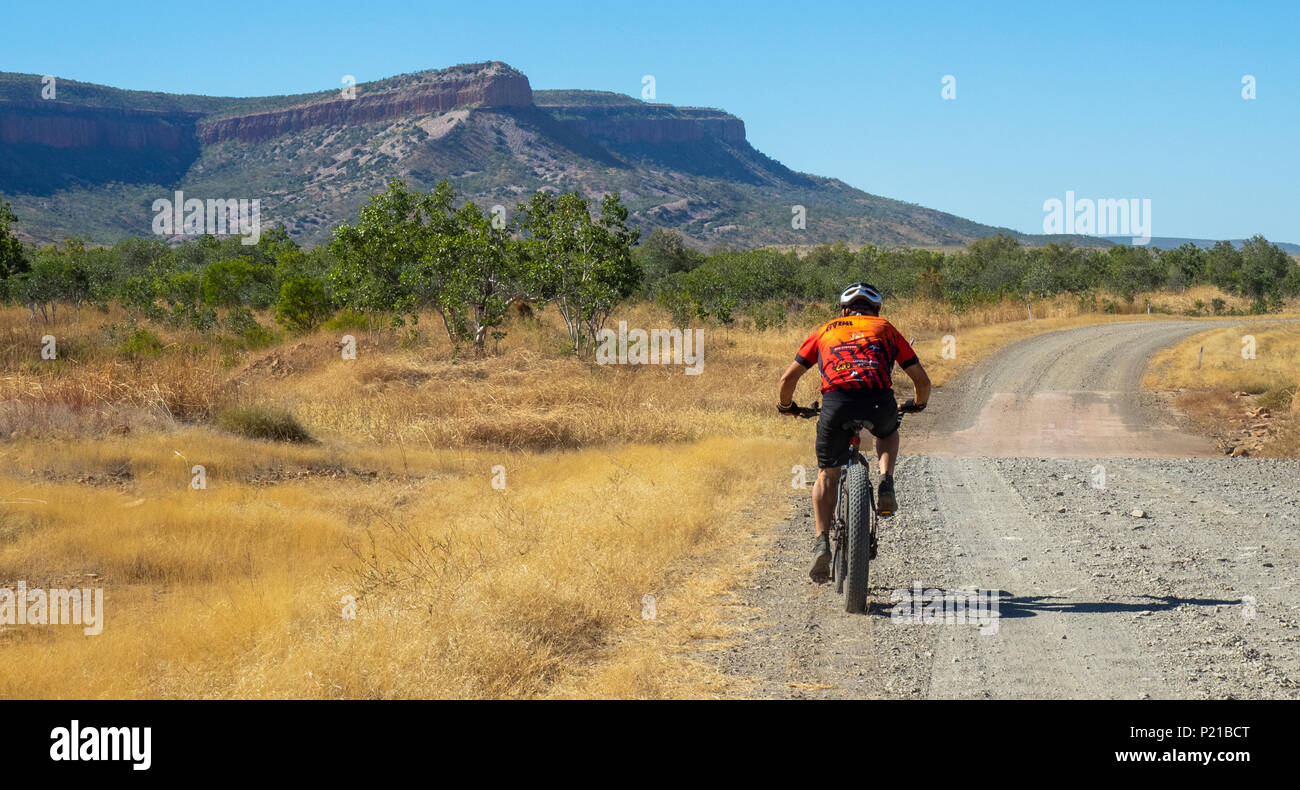 Gibb Challenge 2018 un ciclista in jersey e bib a cavallo di un fatbike su strada sterrata Durack Mountain Range Gibb River Road Kimberley Australia Foto Stock