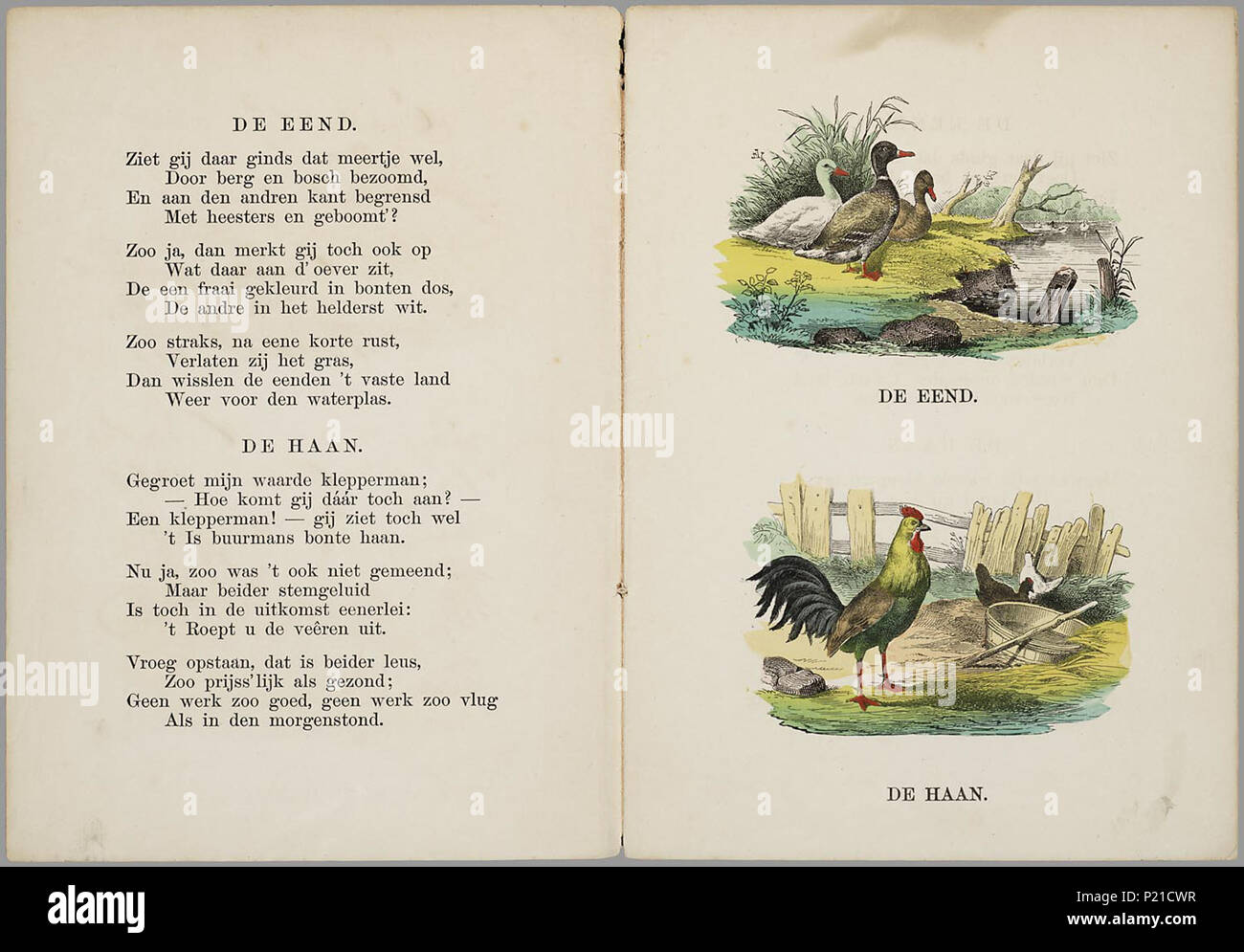 . Nieuwe plaatjes en versjes voor kinderen. Prentenboek incontrato viermaal naast elkaar een pagina incontrato twee rijmende teksten en een pagina incontrato twee handgekleurde afbeeldingen, Als boerderijdieren worden zeven keer een hoenderachtige vogel en één keer een konijn afgebeeld. In de gedichten wordt wat informatie over de dieren gegeven. Op de voorkant staat in het midden een cirkelvormige handgekleurde afbeelding van twee duivenvoerende kinderen en in de hoeken vier vogels in cirkels. 8 bl : handgekl. lith // Datering: niet in Brinkman; opdracht gedateerd 1868; Lust en Leering geeft als schatting ca. 18 Foto Stock