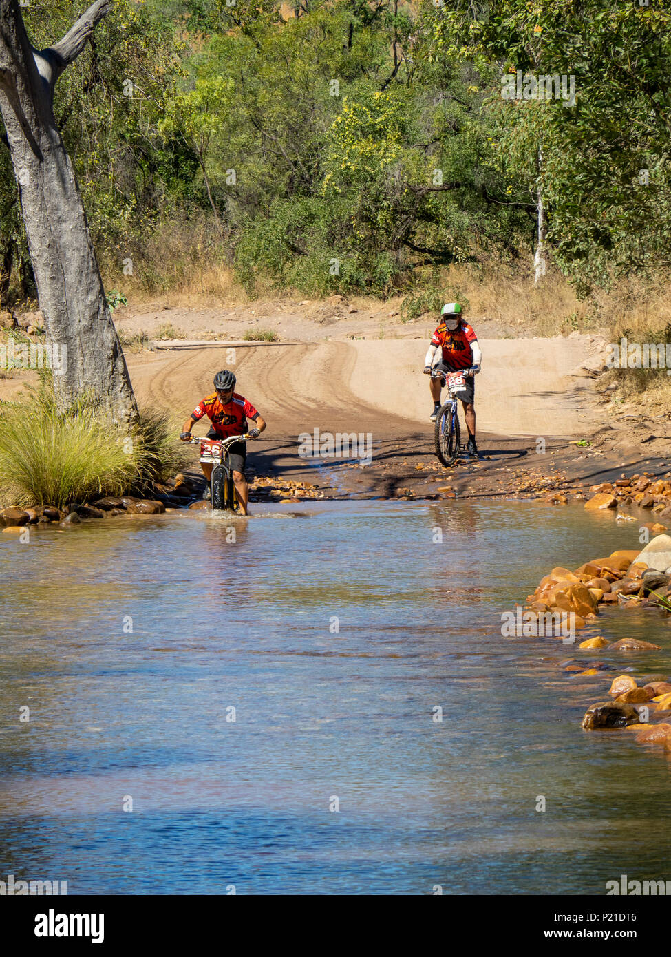 Gibb Challenge 2018 Due ciclisti su un fatbike e una mountain bike attraversando il fiume di Pentecoste a El Questro Station Kimberley Australia Foto Stock