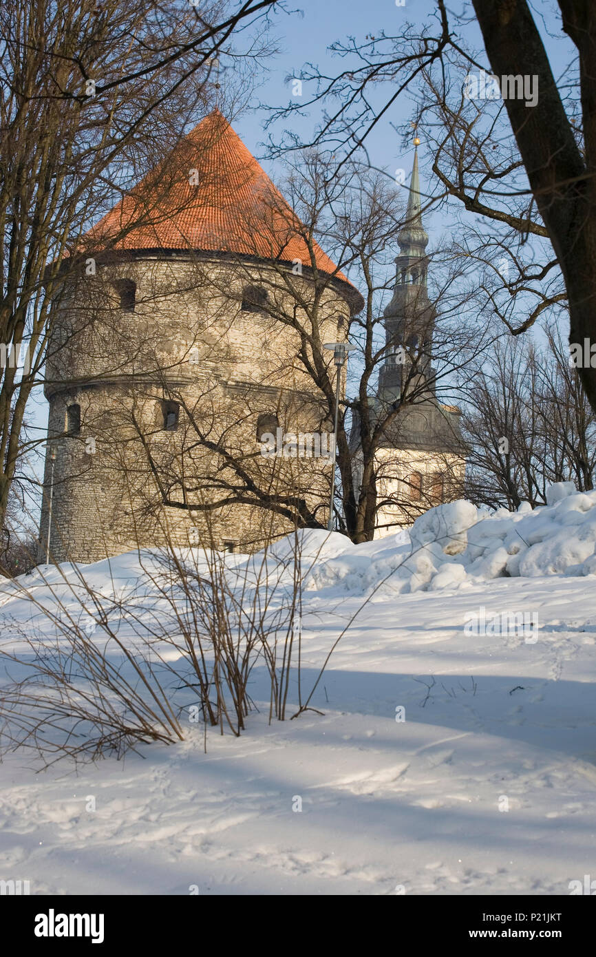 Un parco innevato con il Kiek in de Kök tower e Niguliste oltre, Tallinn, Estonia Foto Stock