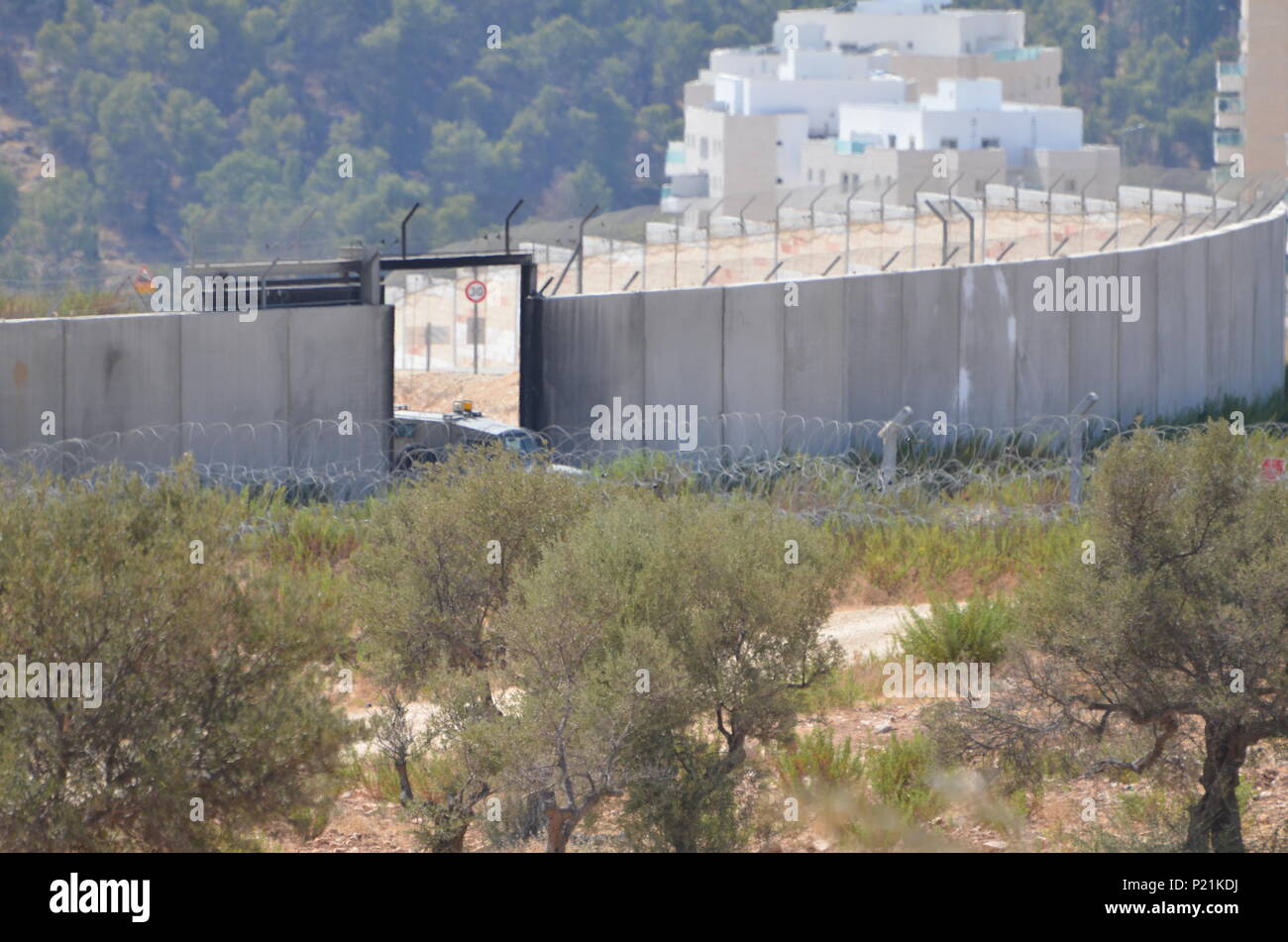 Il muro che separa l'insediamento israeliano dal villaggio palestinese di Bilin. Bilin è un villaggio in Palestina che regolarmente proteste la costruzione dei vicini insediamenti israeliani. La locale popolazione palestinese ritengono insediamenti israeliani sono illegali e che occupano la terra originariamente di proprietà di famiglie palestinesi che vivono nel villaggio. Foto Stock