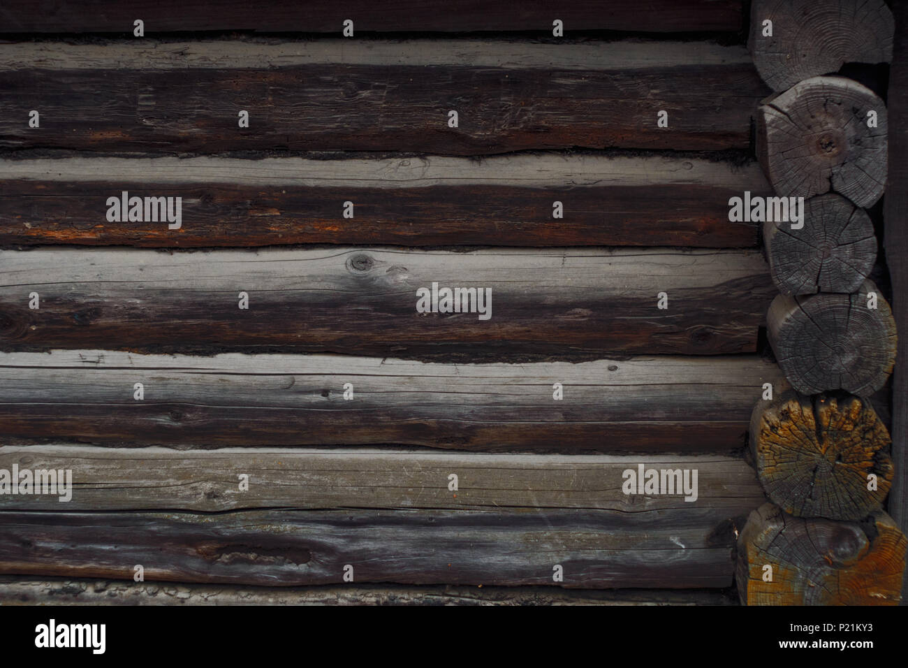 Le tradizioni di casa in legno edificio. La texture della parete del log. Sfondo scuro Foto Stock
