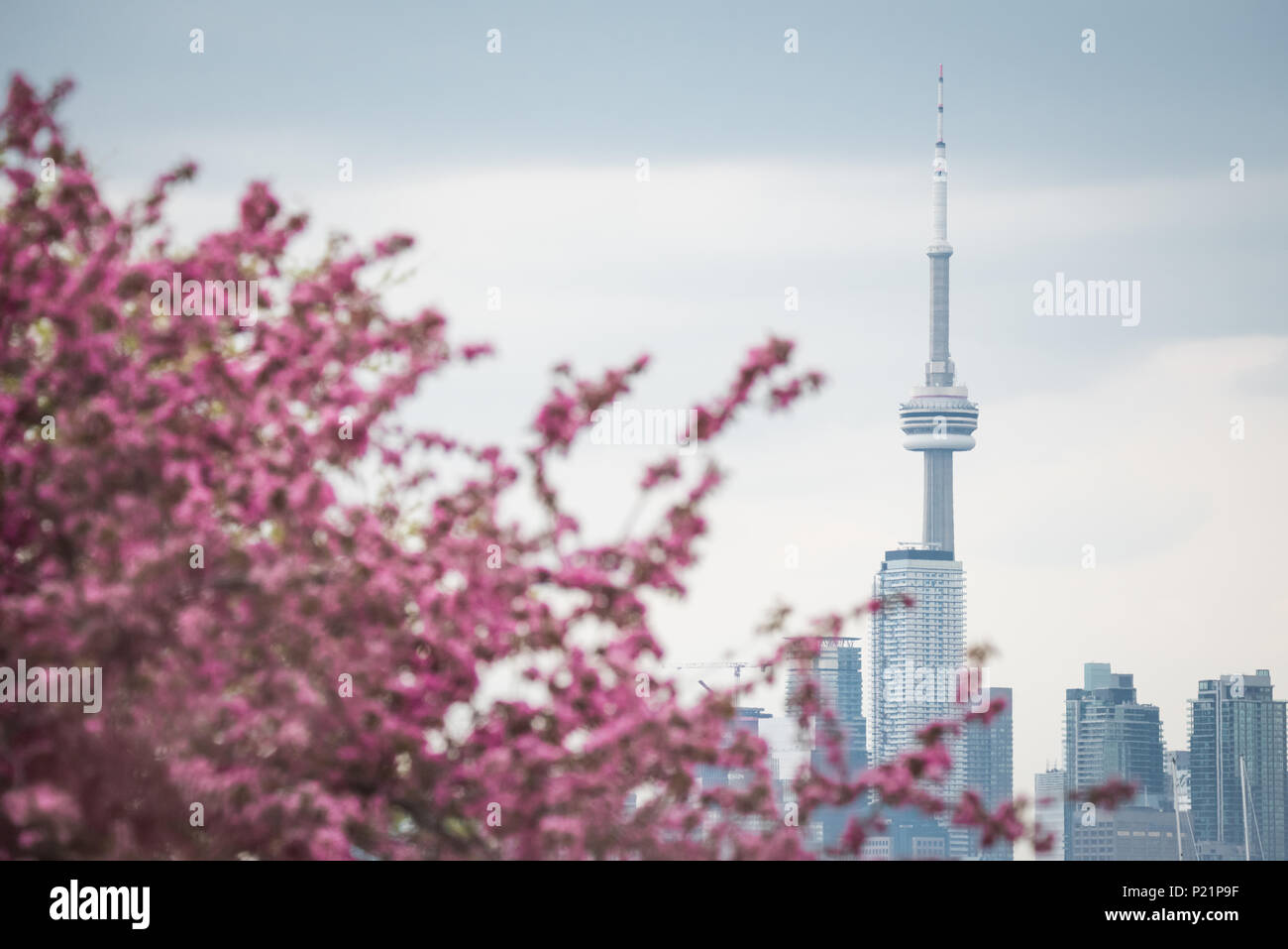 Primavera a Toronto, Ontario, come si vede dalla popolare Strada di Leslie Spit. Foto Stock