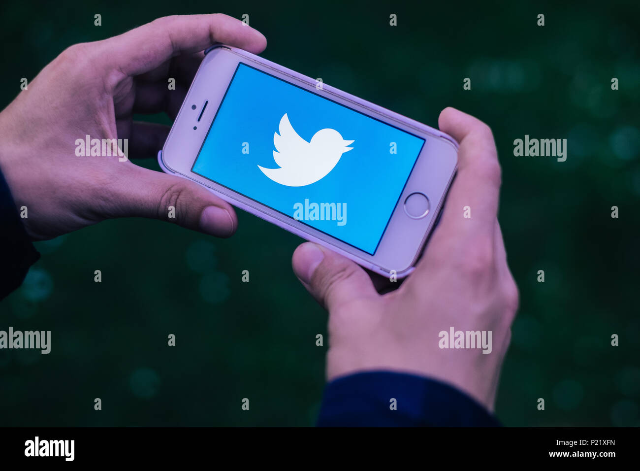 Primo piano della schermata dello smartphone con il logo Twitter Foto Stock