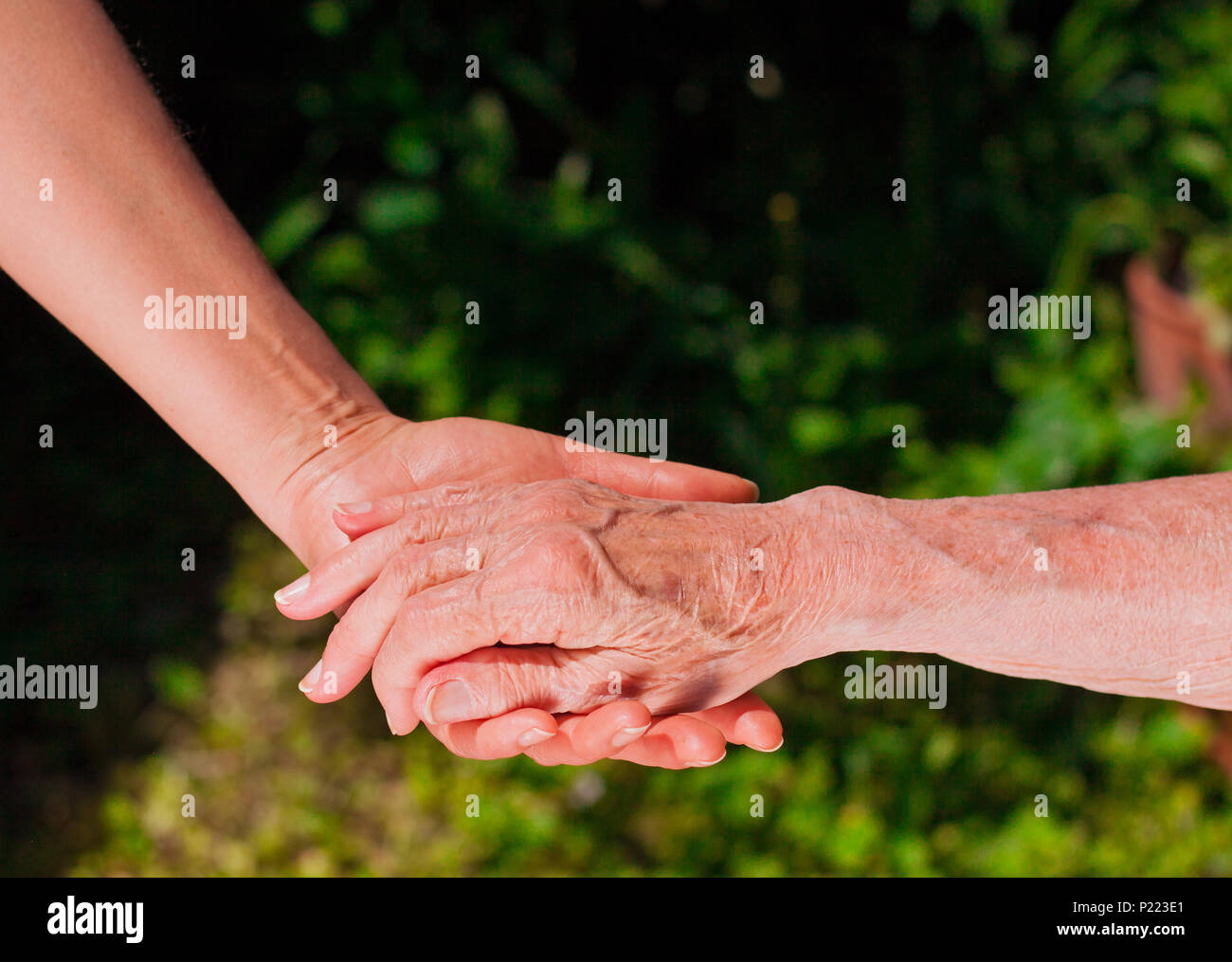 Signora tenendo una donna anziana la mano in giardino. Foto Stock
