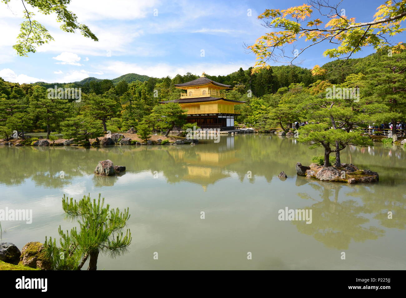 Kinkaku-ji o Padiglione Dorato Zen tempio buddista. Il protocollo di Kyoto. Giappone Foto Stock