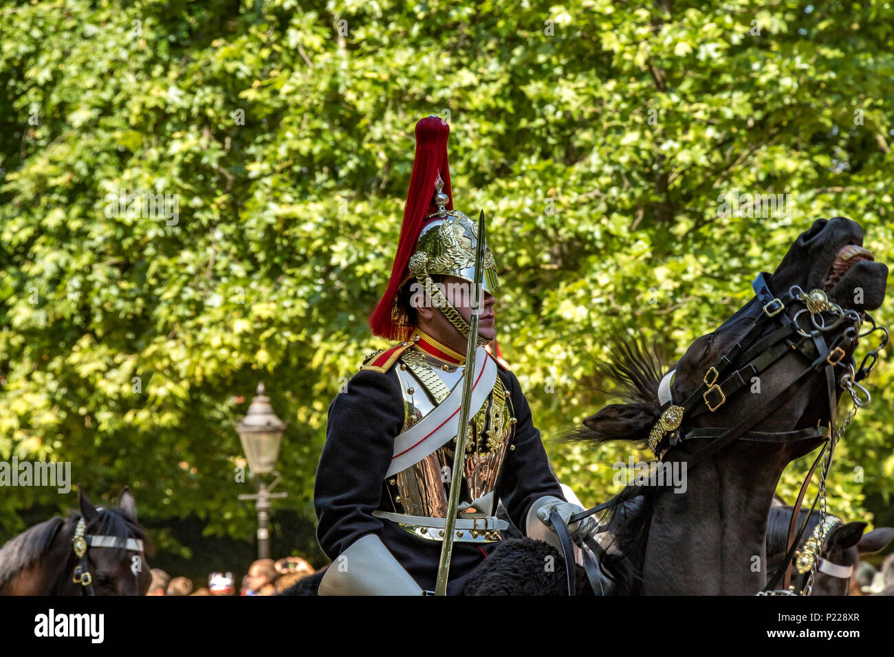 Un soldato del reggimento di Blues & Royals lotta per controllare il suo cavallo al Trooping of the Color on the Mall, Londra, Regno Unito Foto Stock