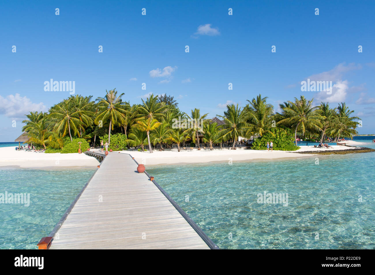 Spiaggia tropicale isola palme Maldive Foto Stock