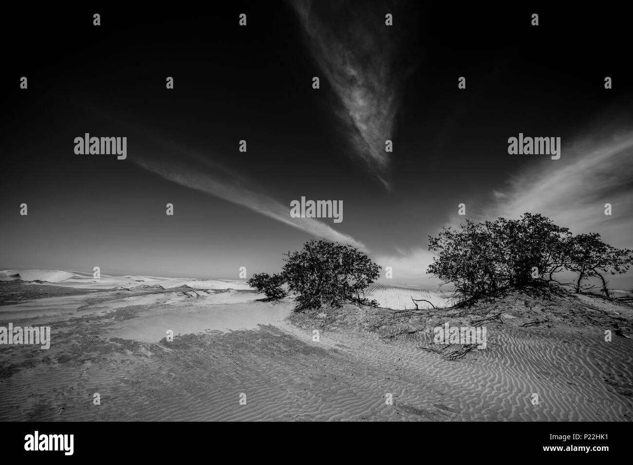 Le dune di sabbia a Bahia Magdalena bay nella penisola della Baja California nel nord del Messico Foto Stock