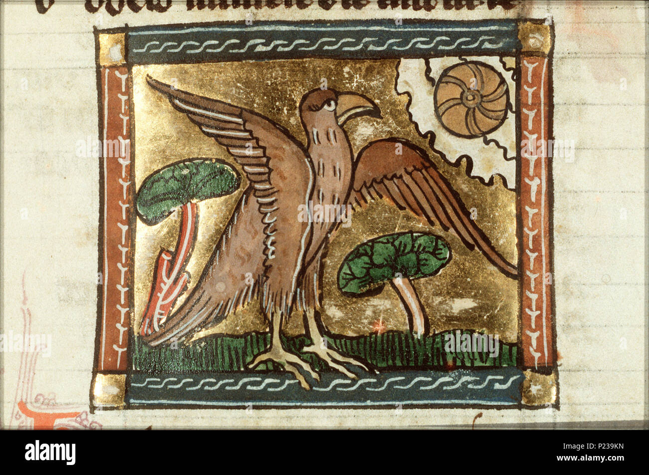. Kiliodromos - miniaturizzato da folio 092r da Der naturen bloeme (KB KA 16) da Jacob van Maerlant . Kiliodromos - miniaturizzato da folio 092r da Der naturen bloeme (KB KA 16) da Jacob van Maerlant questa miniatura è parte di destra folio 092r . tra circa 1340 e circa 1350. Tommaso di Cantimpré (1201-1270) nomi alternativi Thomas di Cantimpre Descrizione hagiographer, scrittore e sacerdote Data di nascita e morte 1201 1270 Luogo di nascita Sint-Pieters-Leeuw competente controllo : Q572799 VIAF: 100174390 ISNI: 0000 0001 1691 6433 LCCN: N89642958 GND: 118802003 SELIBR: 205 Foto Stock . Kiliodromos - miniaturizzato da folio 092r da Der naturen bloeme (KB KA 16) da Jacob van Maerlant . Kiliodromos - miniaturizzato da folio 092r da Der naturen bloeme (KB KA 16) da Jacob van Maerlant questa miniatura è parte di destra folio 092r . tra circa 1340 e circa 1350. Tommaso di Cantimpré (1201-1270) nomi alternativi Thomas di Cantimpre Descrizione hagiographer, scrittore e sacerdote Data di nascita e morte 1201 1270 Luogo di nascita Sint-Pieters-Leeuw competente controllo : Q572799 VIAF: 100174390 ISNI: 0000 0001 1691 6433 LCCN: N89642958 GND: 118802003 SELIBR: 205 Foto Stock