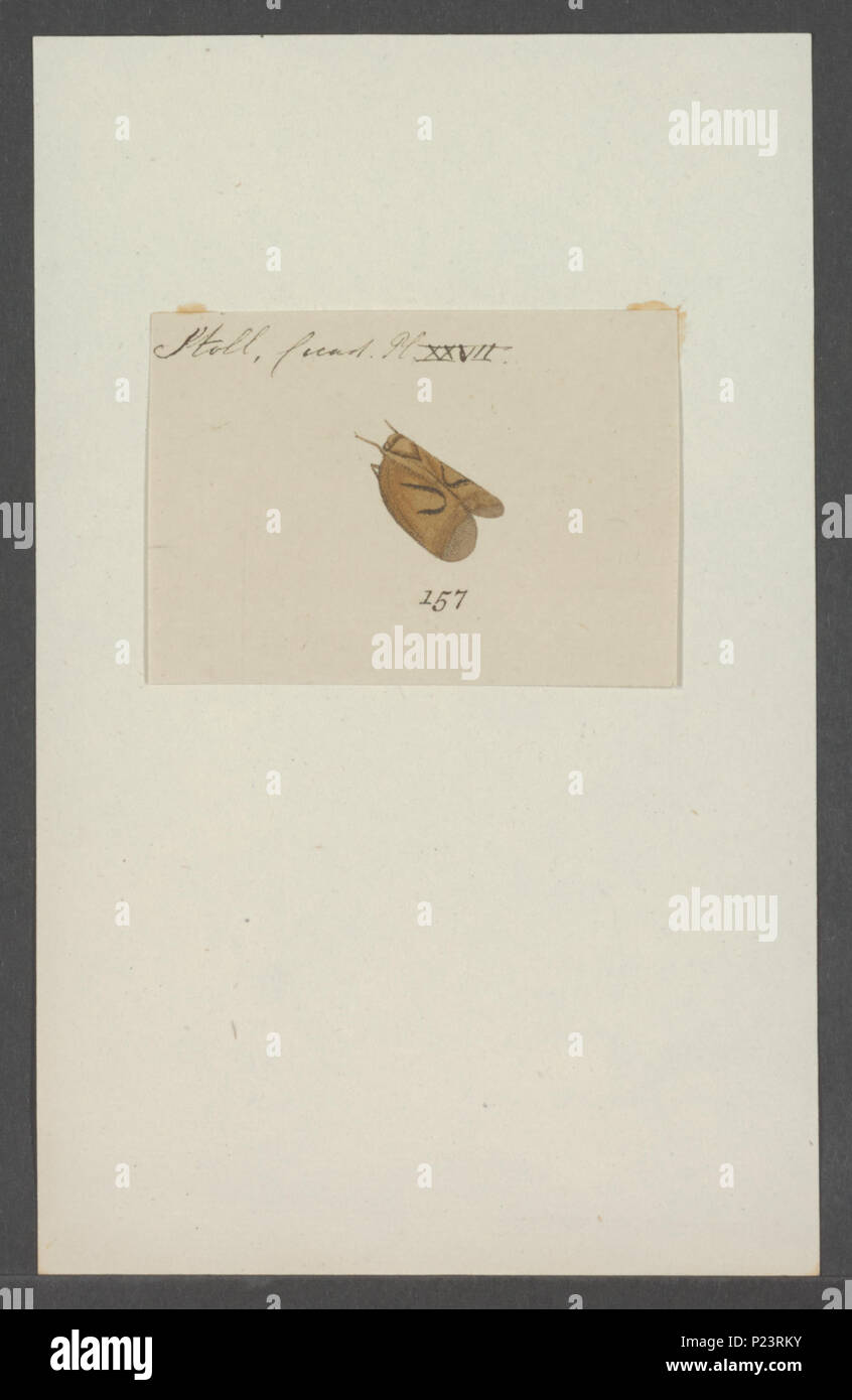 . Kend 166 Kend - Stampa - Iconographia Zoologica - Collezioni Speciali Università di Amsterdam - UBAINV0274 042 03 0029 Foto Stock