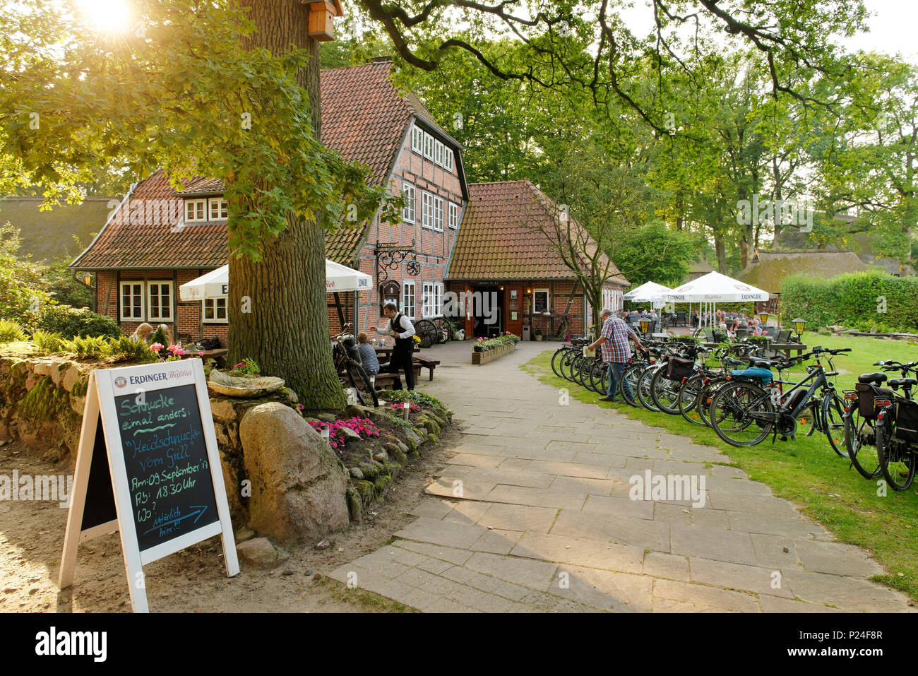 Zum Heidemuseum' Inn, Wilsede, Lüneburg Heath, Bassa Sassonia, Germania Foto Stock