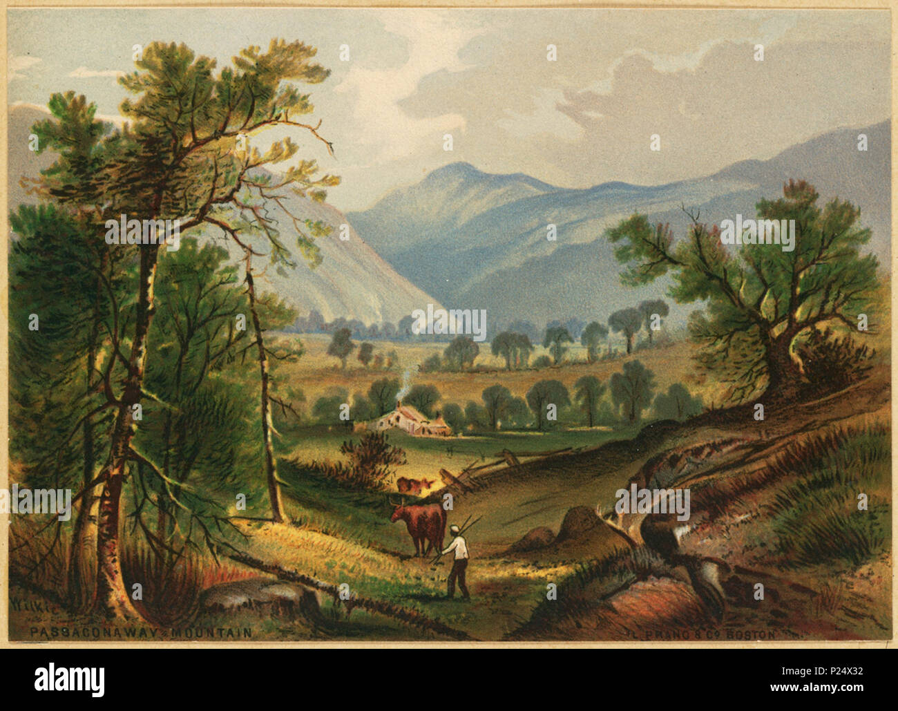 . Inglese: nome file: 07 11 000041 Titolo: Passaconaway Mountain creatore/collaboratore: Wilkie, Robert D., 1828-1903 (artista); L. Prang & Co. (Editore) Data di pubblicazione: 1861-1897 (approssimativo) descrizione fisica nota: stampa di prova Genere: Chromolithographs; prove; Landscape stampa Location: Boston Public Library, reparto di stampa diritti: No restrizioni note Flickr dati su 2011-08-08: Fotocamera: Sinar AG Sinarback 54 FW, Sinar m Licenza: CC BY 2.0 Utente: Boston Public Library BPL . 1861-1897 (approssimativo) caricamento su Flickr data: 2008-07-23 13:29:57 . Wilkie, Robert D., 1828-1903 (artista); L. Prang & Foto Stock