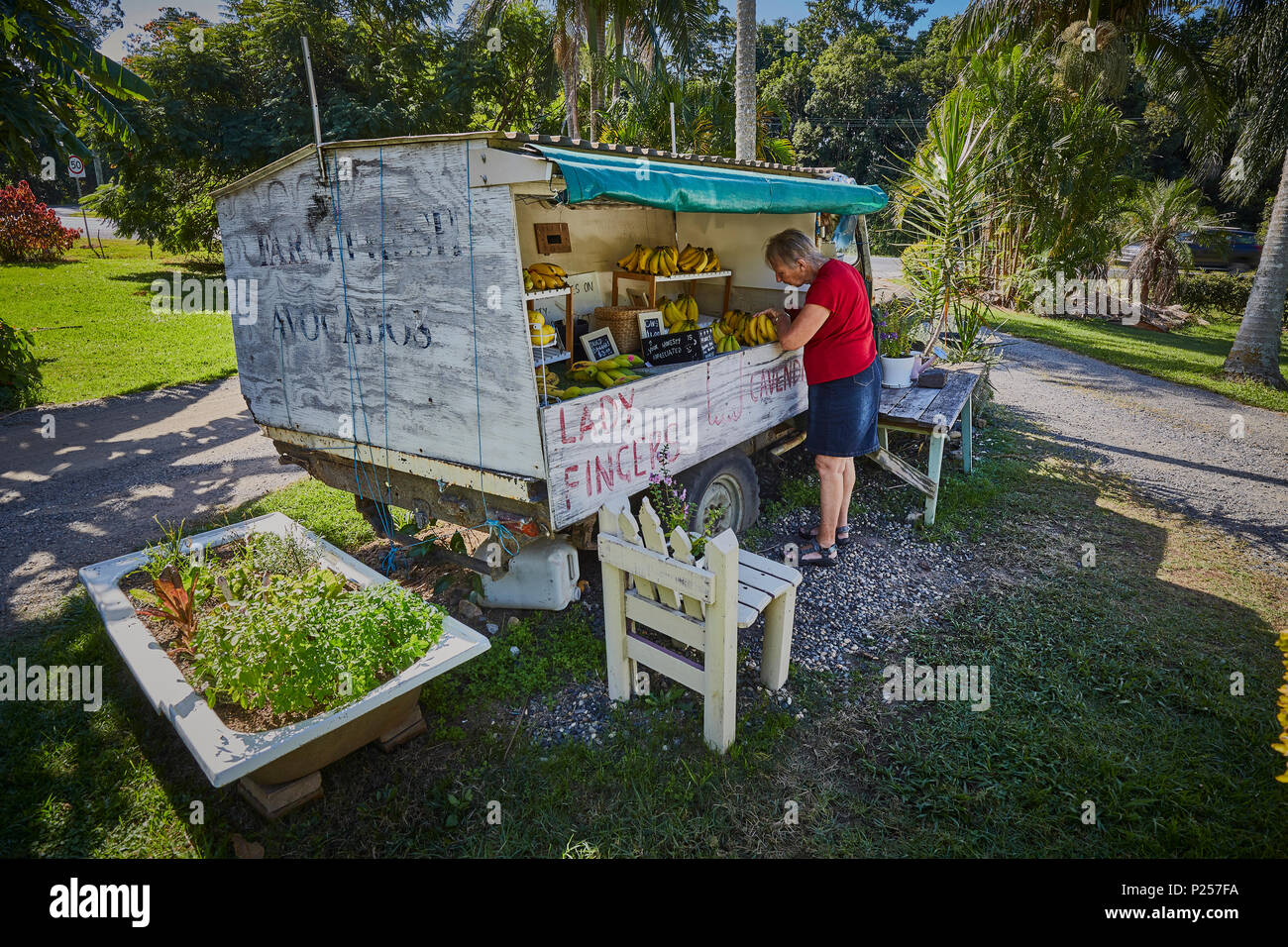 Una donna acquisto di banane provenienti da un frutto in stallo sul lato della strada convertito da un vecchio veicolo 4 X 4 vicino a Coffs Harbour, Nuovo Galles del Sud, Australia Foto Stock
