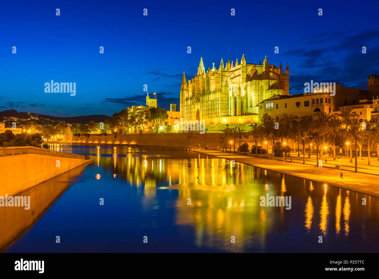 Scena notturna della famosa Cattedrale religiosa di la Seu, Santa Maria dell'isola di Palma de Mallorca, Plaza de la Seu - Spagna Foto Stock