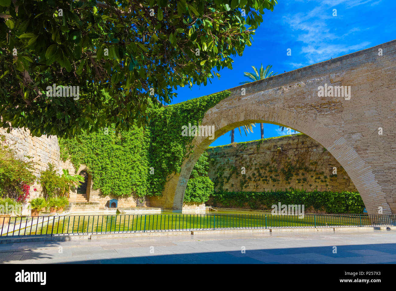 Bellissimo giardino all'interno del famoso La Seu (Santa Maria) cattedrale di Palma de Mallorca, Spagna Foto Stock