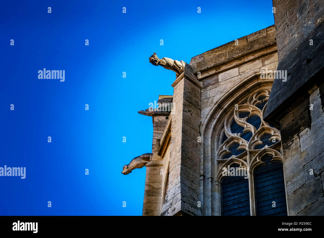 Dettaglio dei doccioni della gotica Cattedrale di Narbonne Foto Stock