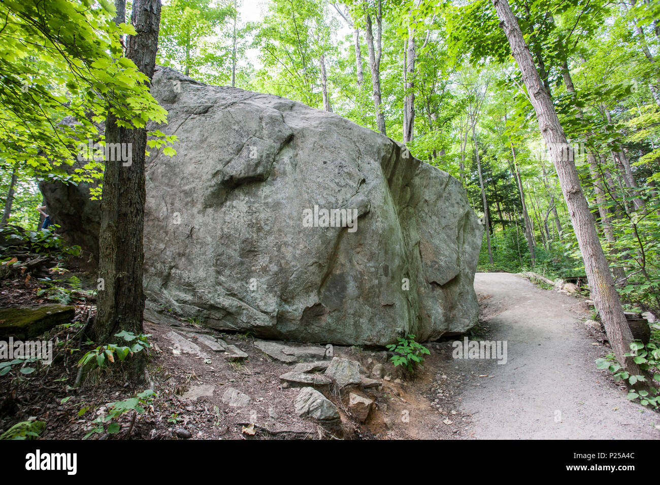 Canada Ontario, Algonquin Provincial Park, Lookout Trail, boulder lasciato da ice-age Foto Stock