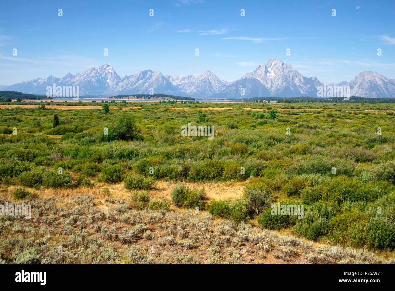 Il Parco Nazionale del Grand Teton, Wyoming usa Foto Stock