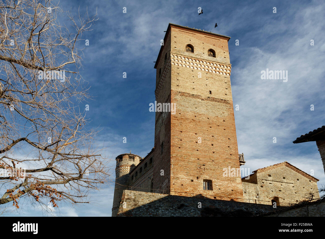 Le Langhe, Distretto di Cuneo, Piemonte, Italia. Barolo, Serralunga d'Alba castello Foto Stock