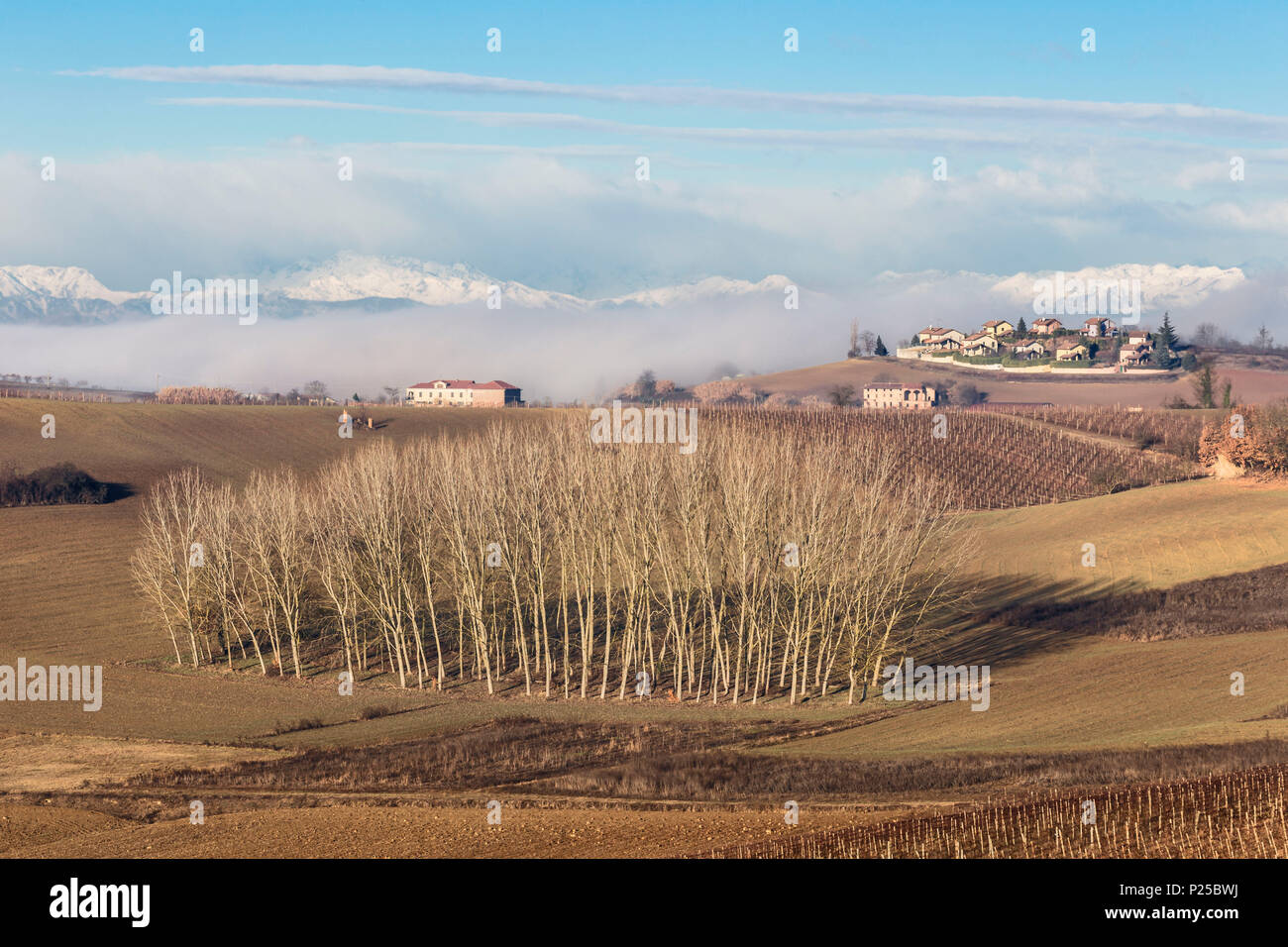Monferrato Astigiano, Piemonte, Italia. Monferrato regione del vino Foto Stock