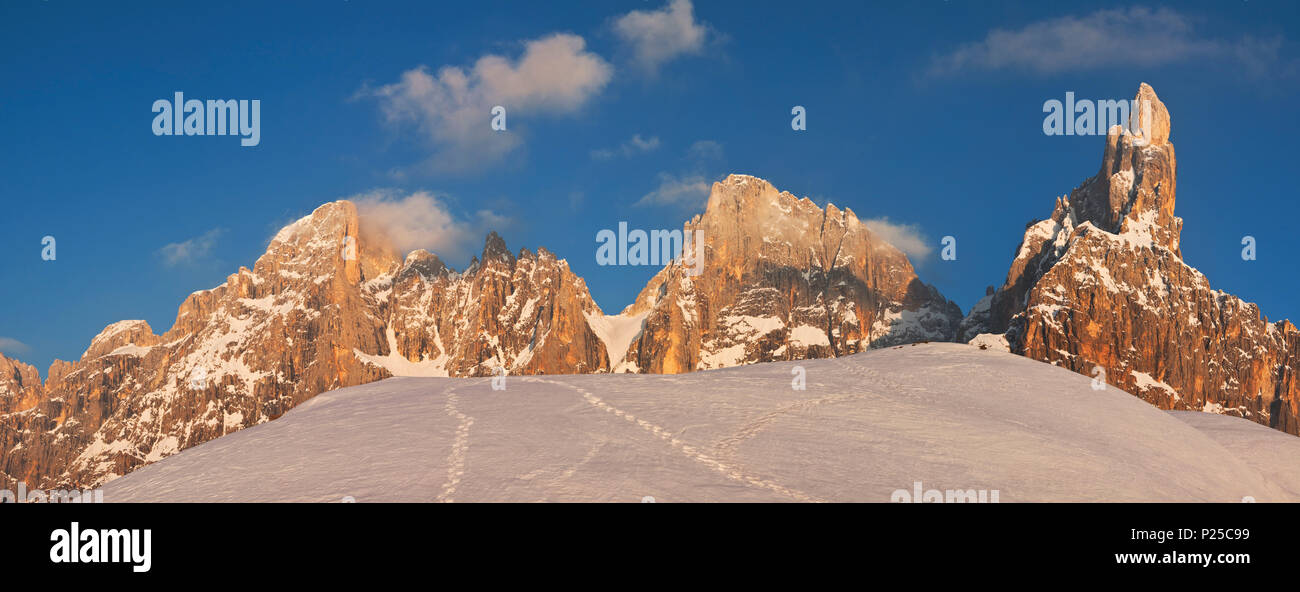 Pale di San Martino Dolomiti San Martino di Castrozza, provincia di Trento, Trentino Alto Adige, Italia Foto Stock