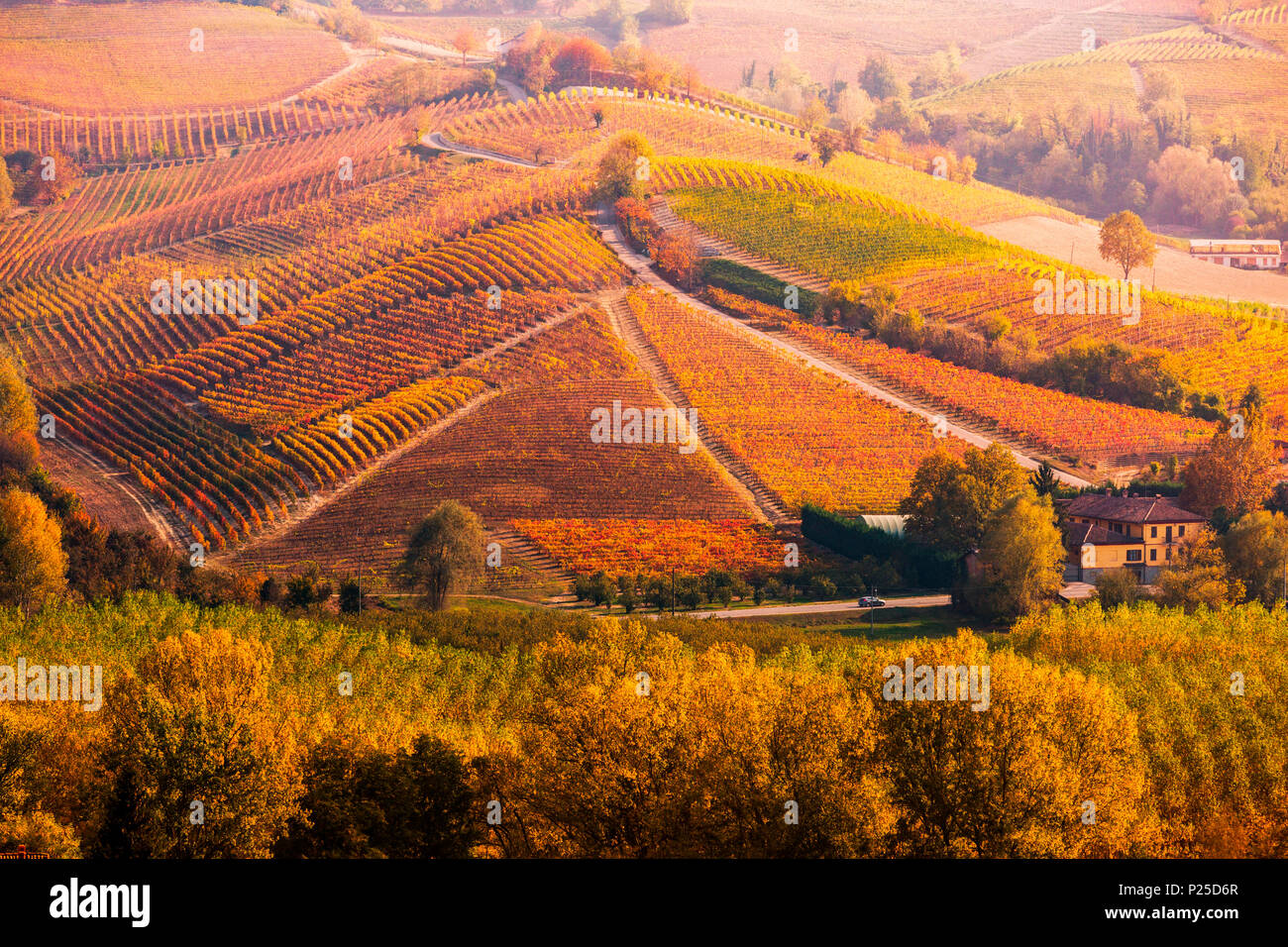 Le Langhe, Piemonte, Italia. Paesaggio autunnale con vigneti Foto Stock