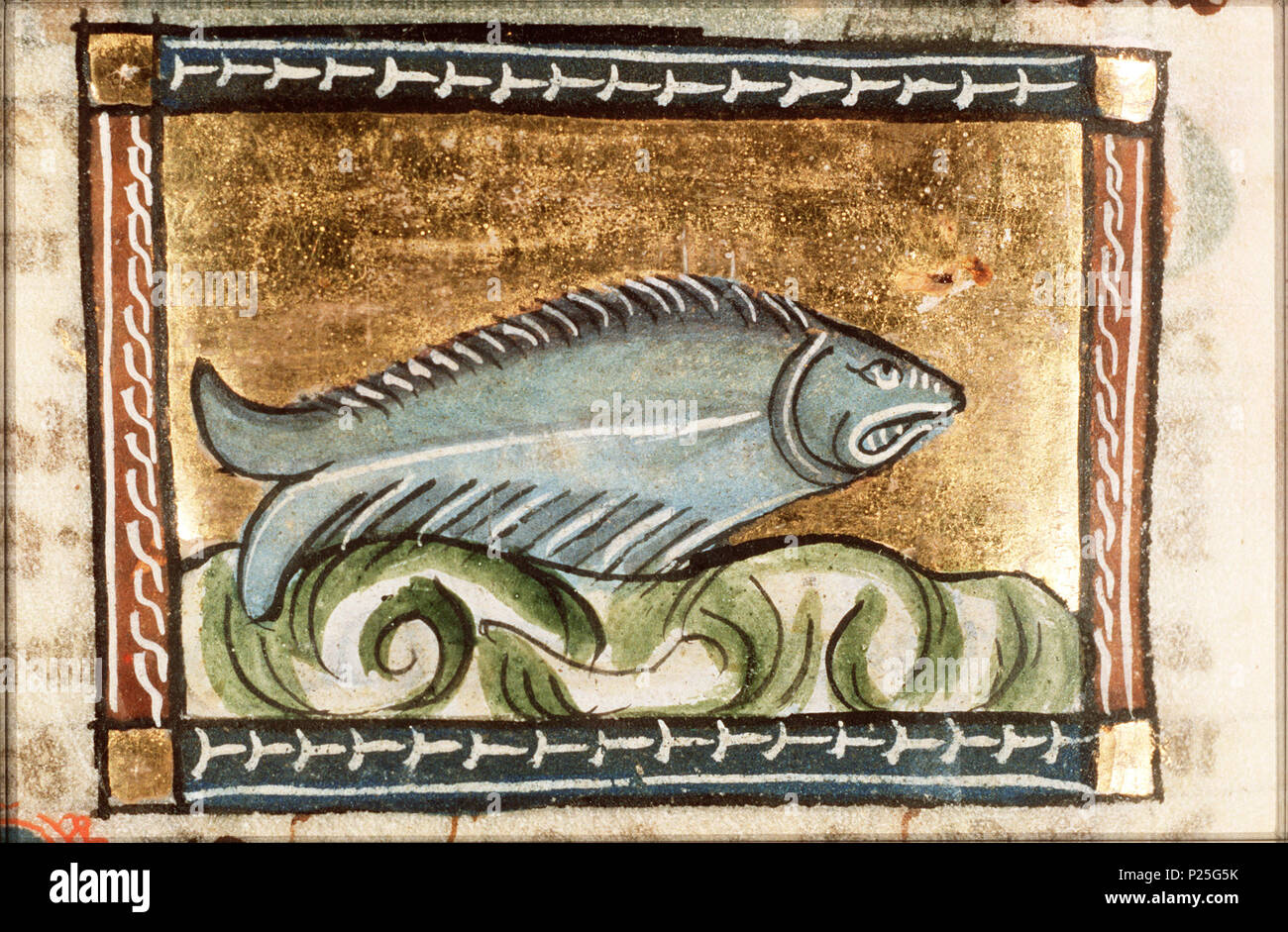 . Delfine (Dolphin) - miniaturizzato da folio 114v da Der naturen bloeme (KB KA 16) da Jacob van Maerlant . Delfine (Dolphin) - miniaturizzato da folio 114v da Der naturen bloeme (KB KA 16) da Jacob van Maerlant argomenti illustrati in questa piscina in miniatura mammiferi: Dolphin (25F27(DOLPHIN) Questa miniatura è parte del lato sinistro folio 114v . tra circa 1340 e circa 1350. Tommaso di Cantimpré (1201-1270) nomi alternativi Thomas di Cantimpre Descrizione hagiographer, scrittore e sacerdote Data di nascita e morte 1201 1270 Luogo di nascita Sint-Pieters-Leeuw competente controllo : Q572 Foto Stock