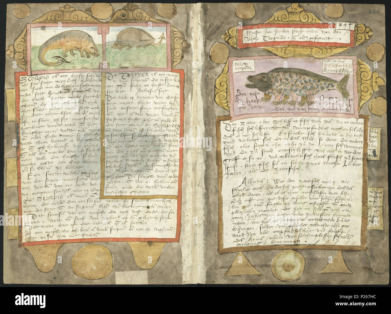 7 Adriaen Coenen's Visboeck - KB 78 E 54 - folio 247v (sinistra) e 248R (destra) Foto Stock