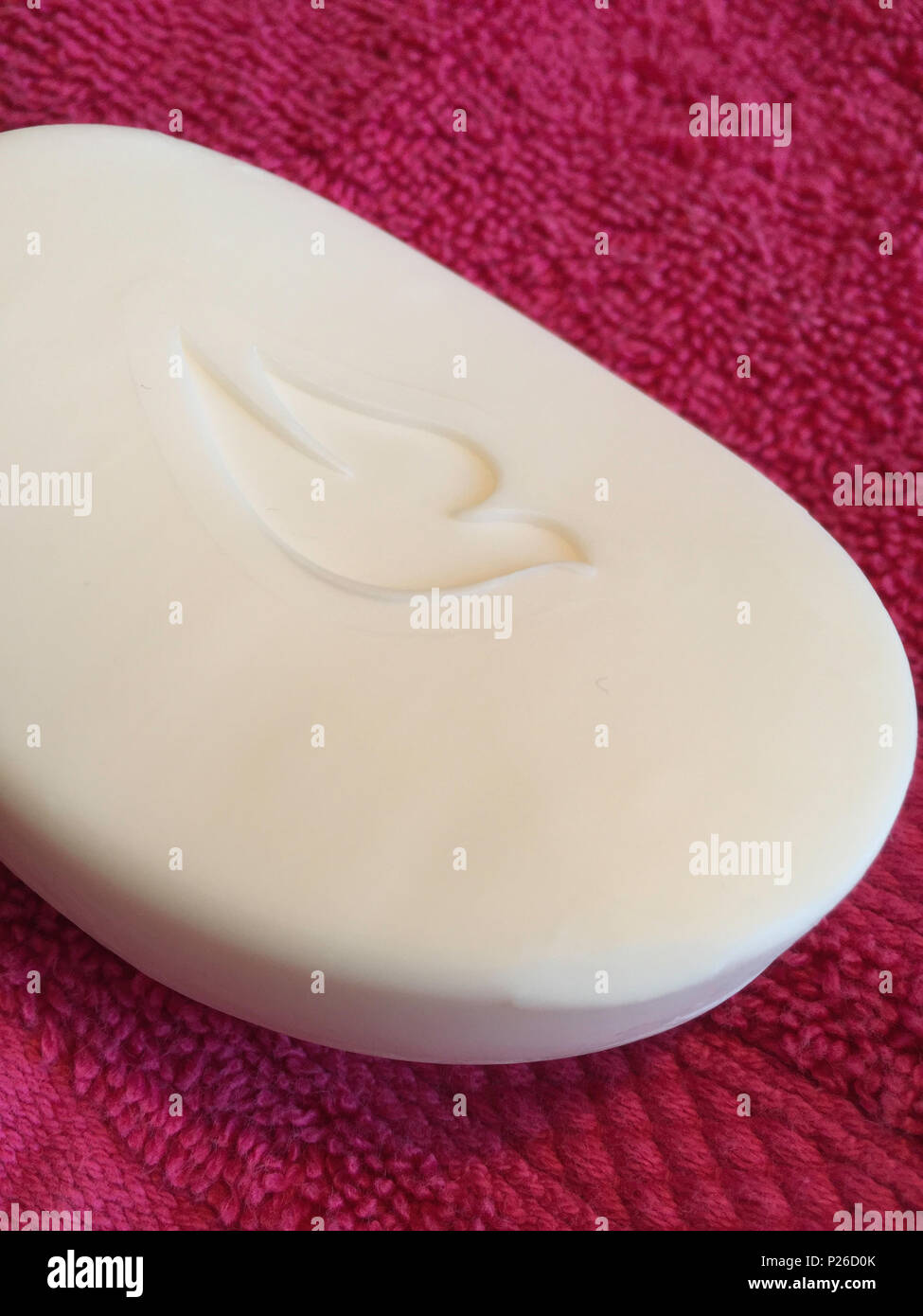 Ancora la vita di Colomba sapone, STATI UNITI D'AMERICA Foto Stock