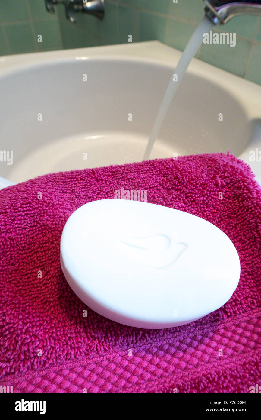 Ancora la vita di Colomba sapone, STATI UNITI D'AMERICA Foto Stock