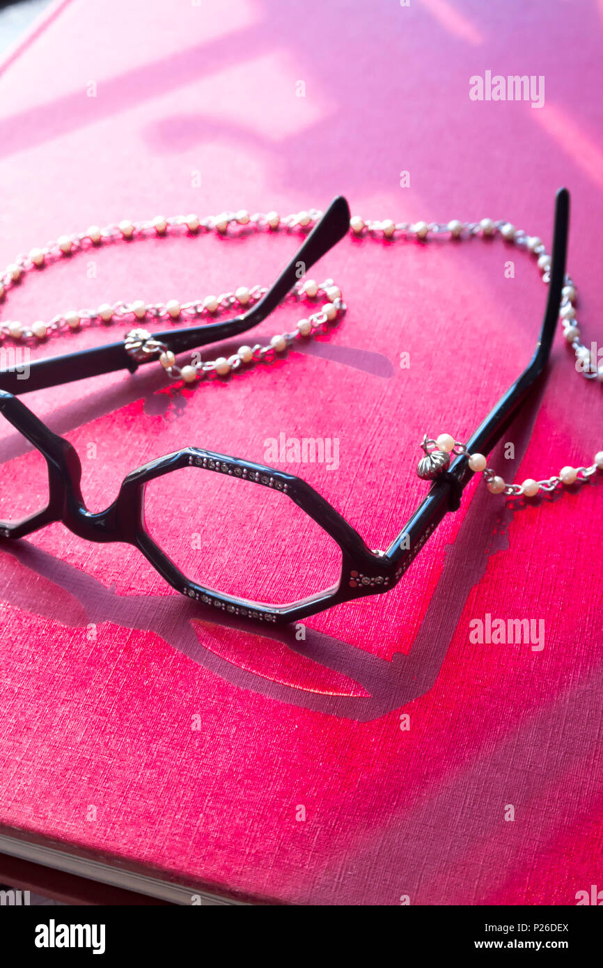 Vintage degli occhiali sulla bibliotecario della catena, NYC Foto Stock