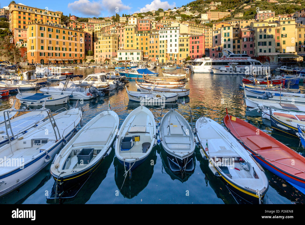 Il porto e il borgo di Camogli, la provincia di Genova, Liguria, Italia,  Europa Foto stock - Alamy