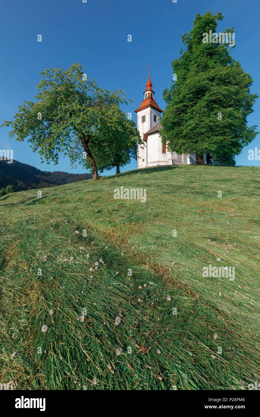 L'Europa, Slovenia, comune di Skofja Loka, la chiesa di San Tommaso (Sveti Tomaz) sulla cima di una collina nella campagna slovena Foto Stock