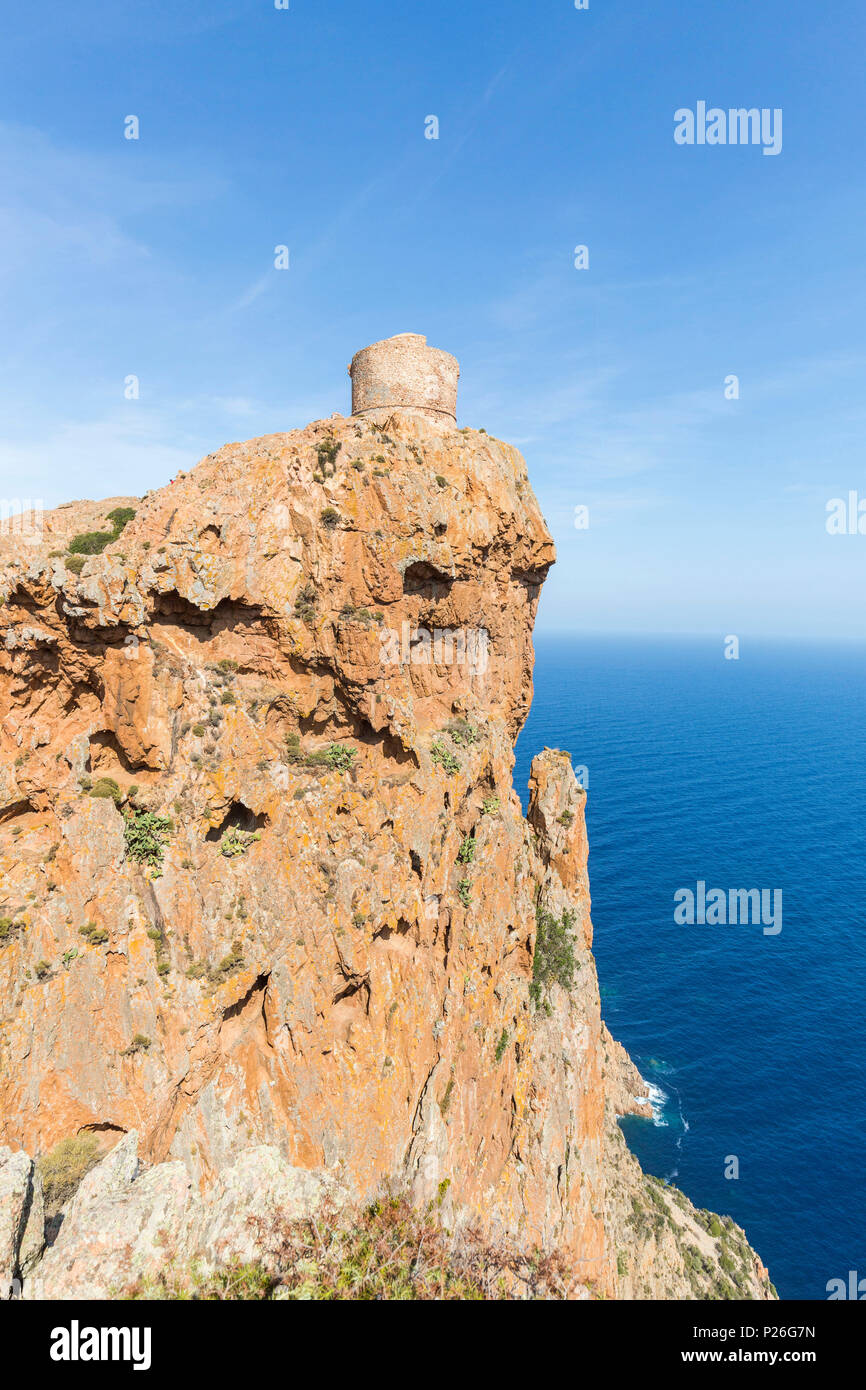 Torre di Turghio (Tour de Turghio) sulla cima di Capu Rossu, Cargese Corsica, Francia Foto Stock