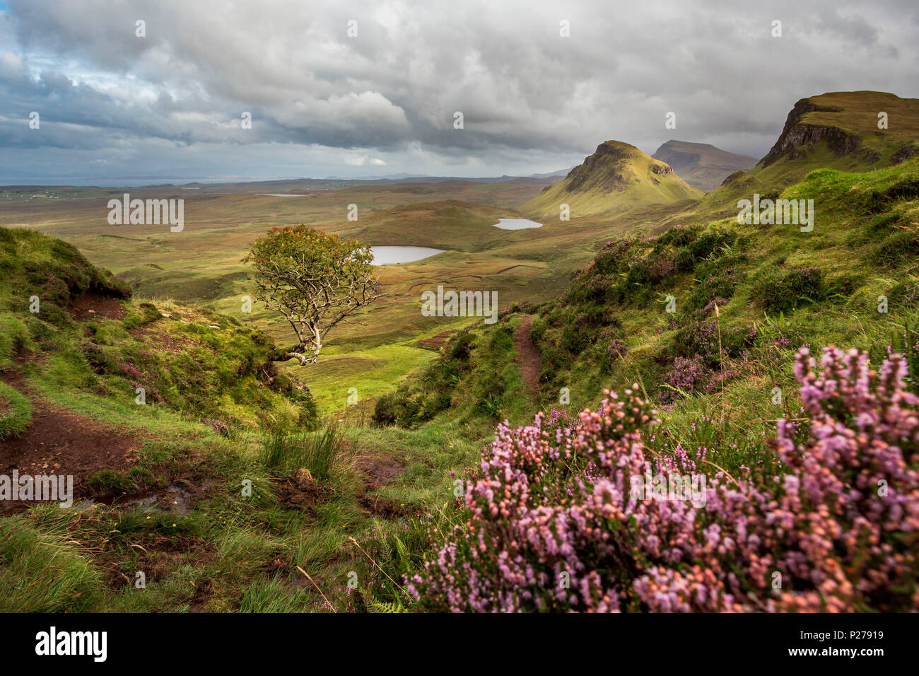 Quiraing paesaggio montano del Trotternish Ridge sull'Isola di Skye, Ebridi Interne, Scotland, Regno Unito Foto Stock