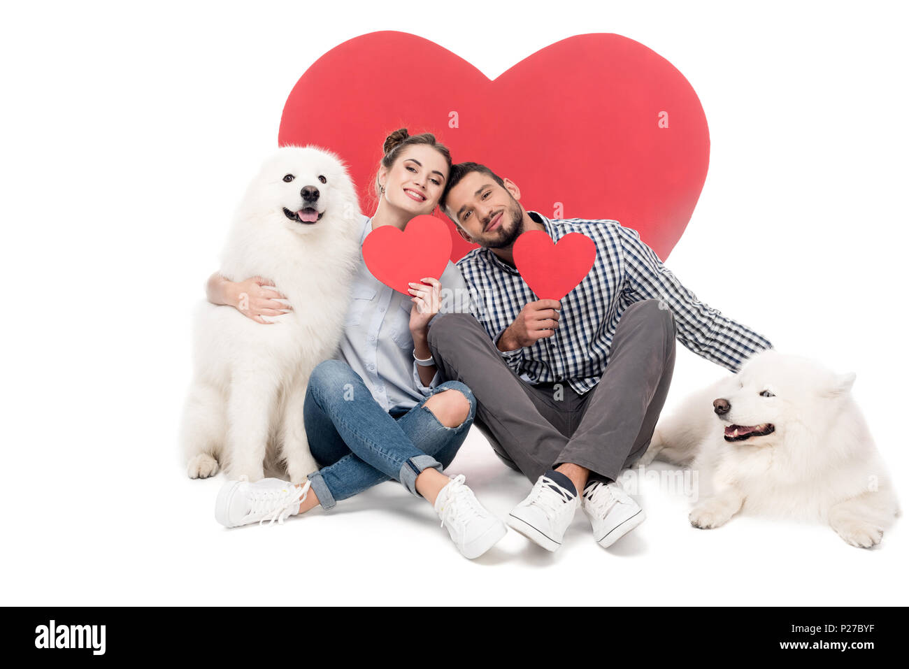 Coppia felice con i cani Samoiedo e cuori di carta su bianco, il giorno di san valentino concetto Foto Stock