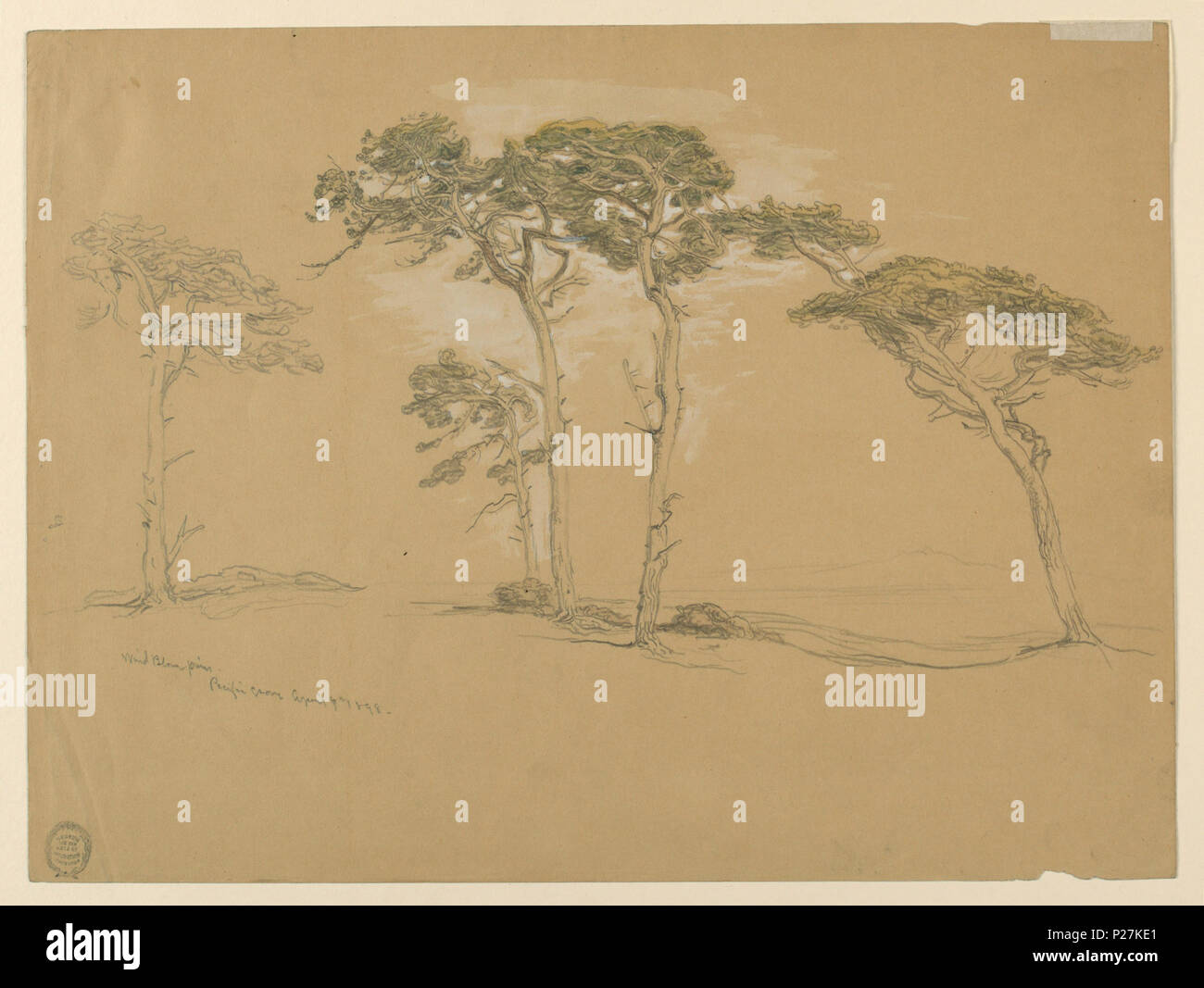 . Inglese: Disegno, pini battente, Pacific Grove. Sul verso: Pacific Coast Road al punto Sur., aprile 1898 . Inglese: rettangolo orizzontale. Complementare: 'soffiata dal vento pini/ Pacific Grove, cinque dei quali sono mostrati. Una gamma di collina è visualizzato sul lato destro dello sfondo. Retromarcia: in direzione opposta, top: onde rullatura alla costa rocciosa. In basso a sinistra in verticale: schizzo a matita di cinque alberi. Destra: roccioso riva del mare. . Aprile 1898 112 Disegno, pini battente, Pacific Grove. Il retro- Pacific Coast Road al punto Sur., aprile 1898 (CH) 18369211 Foto Stock